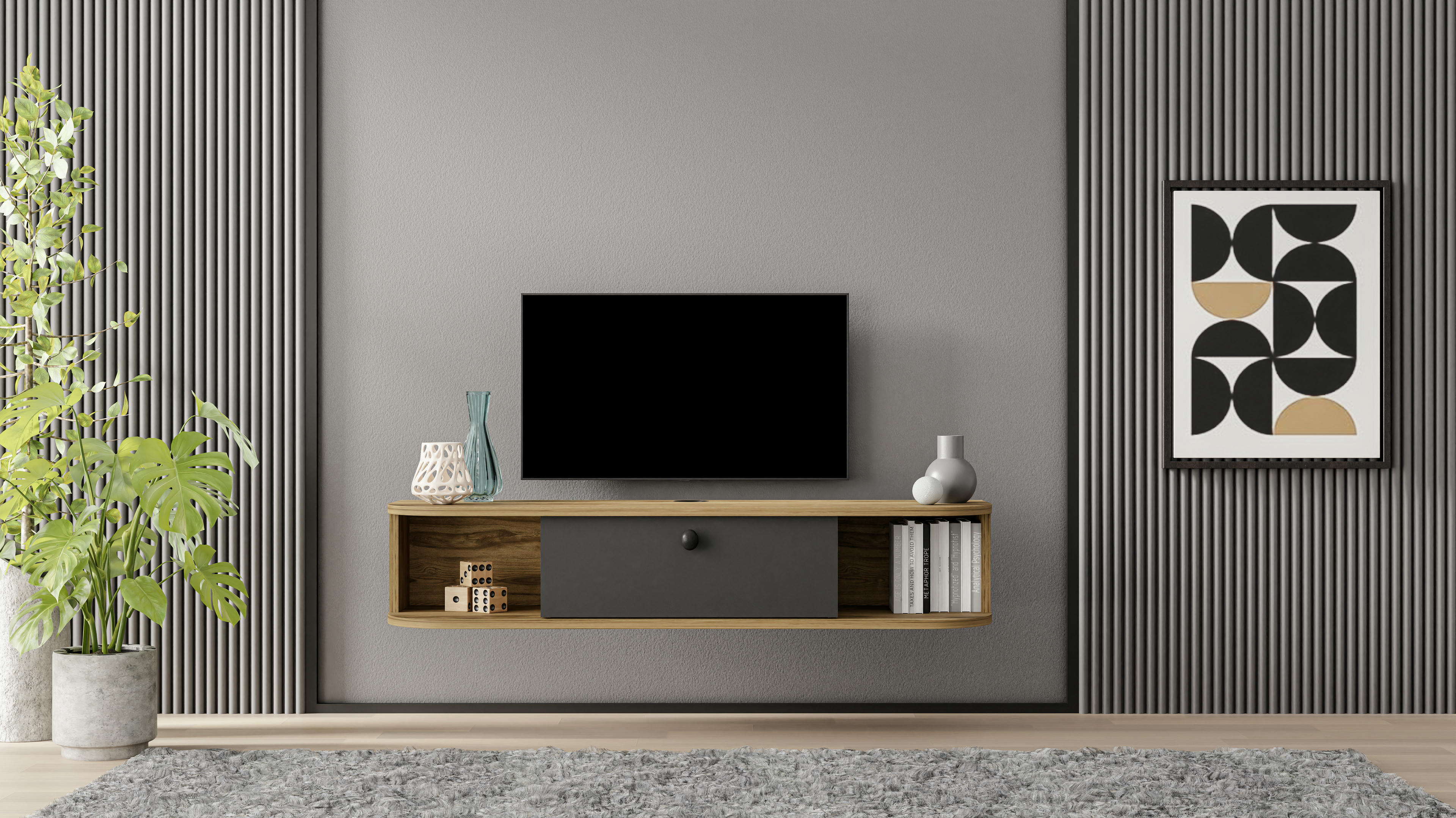 Ibarra TV Unit 17