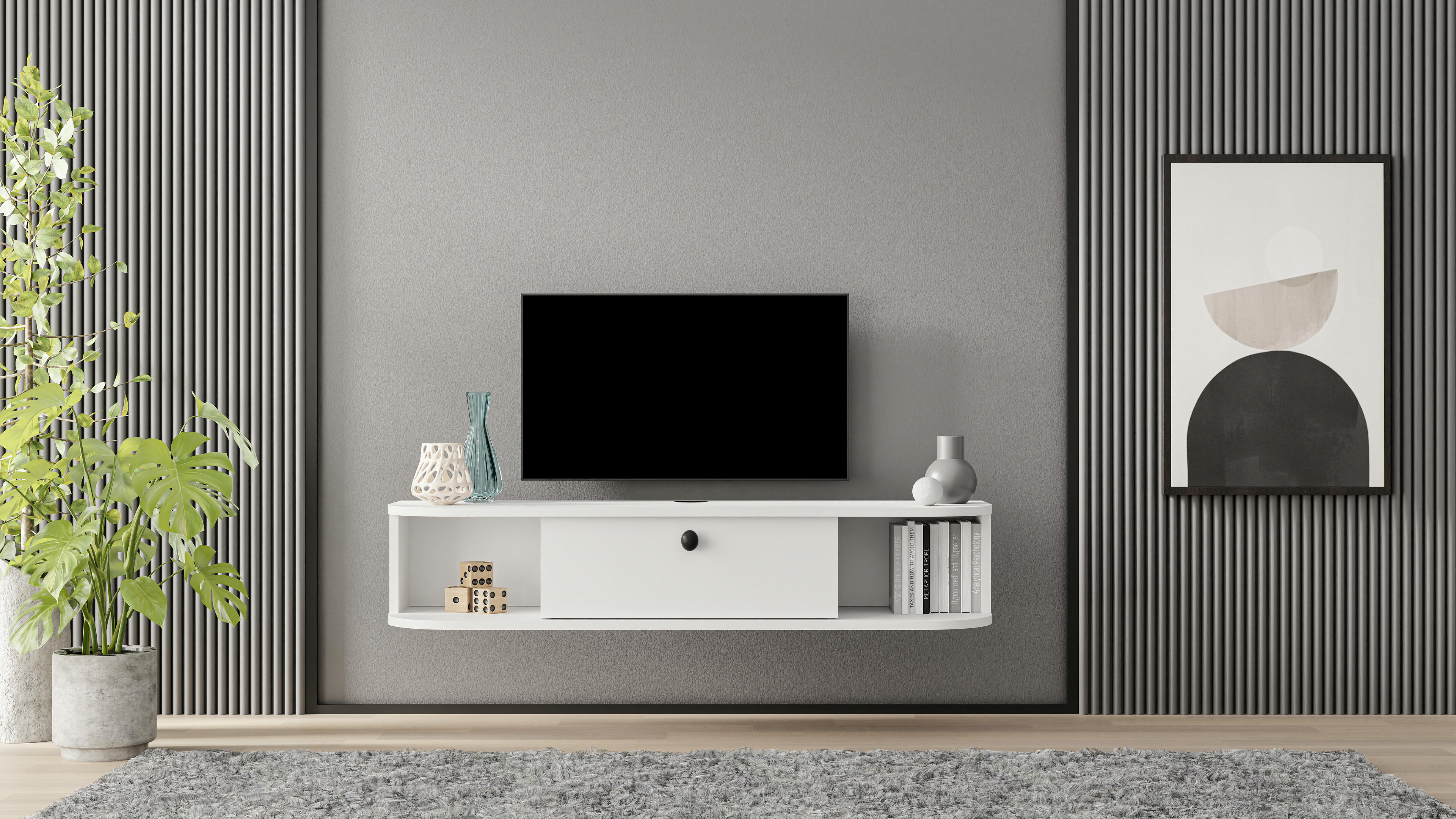 Ibarra TV Unit 12
