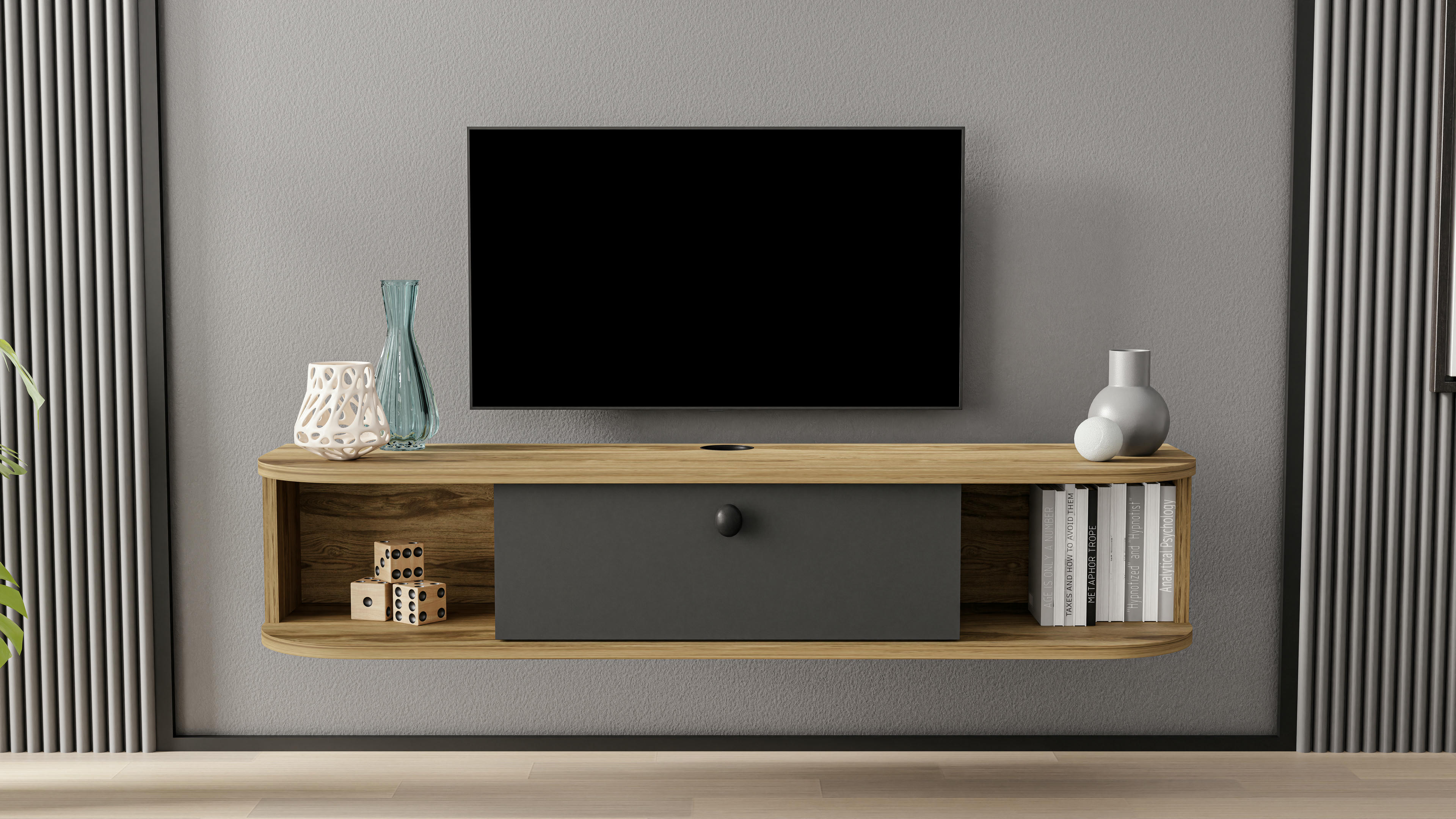 Ibarra TV Unit 18