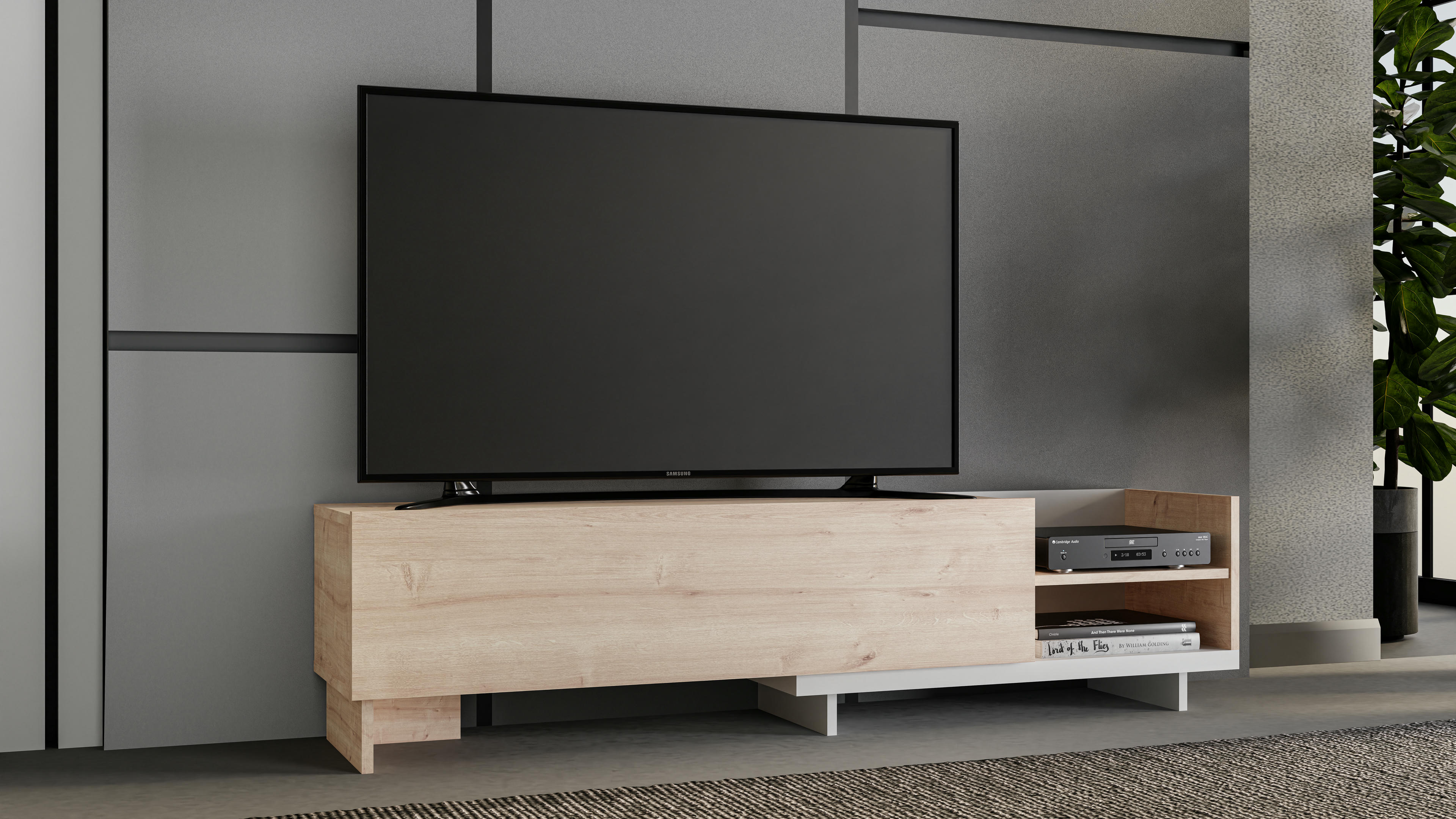 Parion TV Unit 9