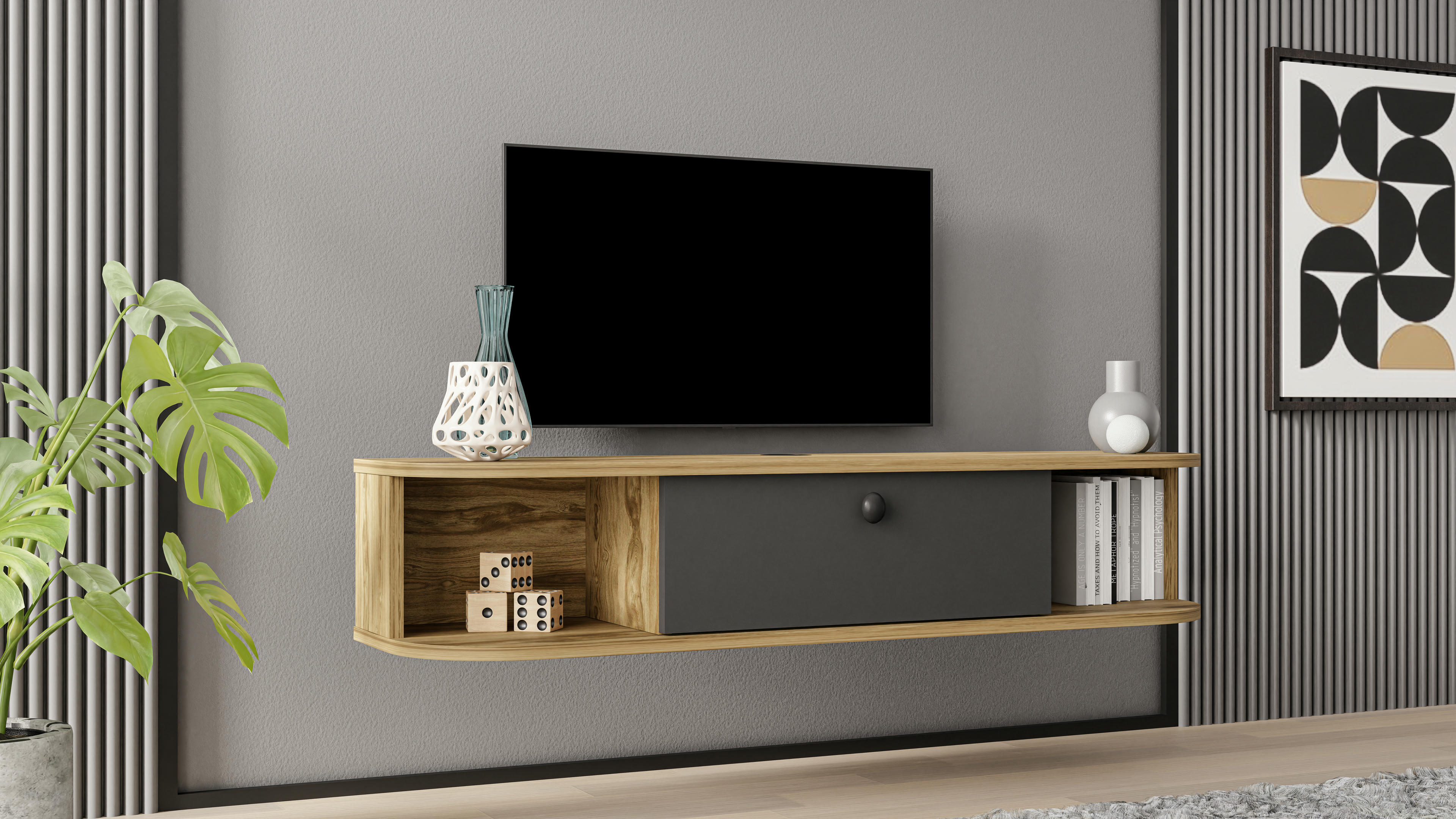 Ibarra TV Unit 19
