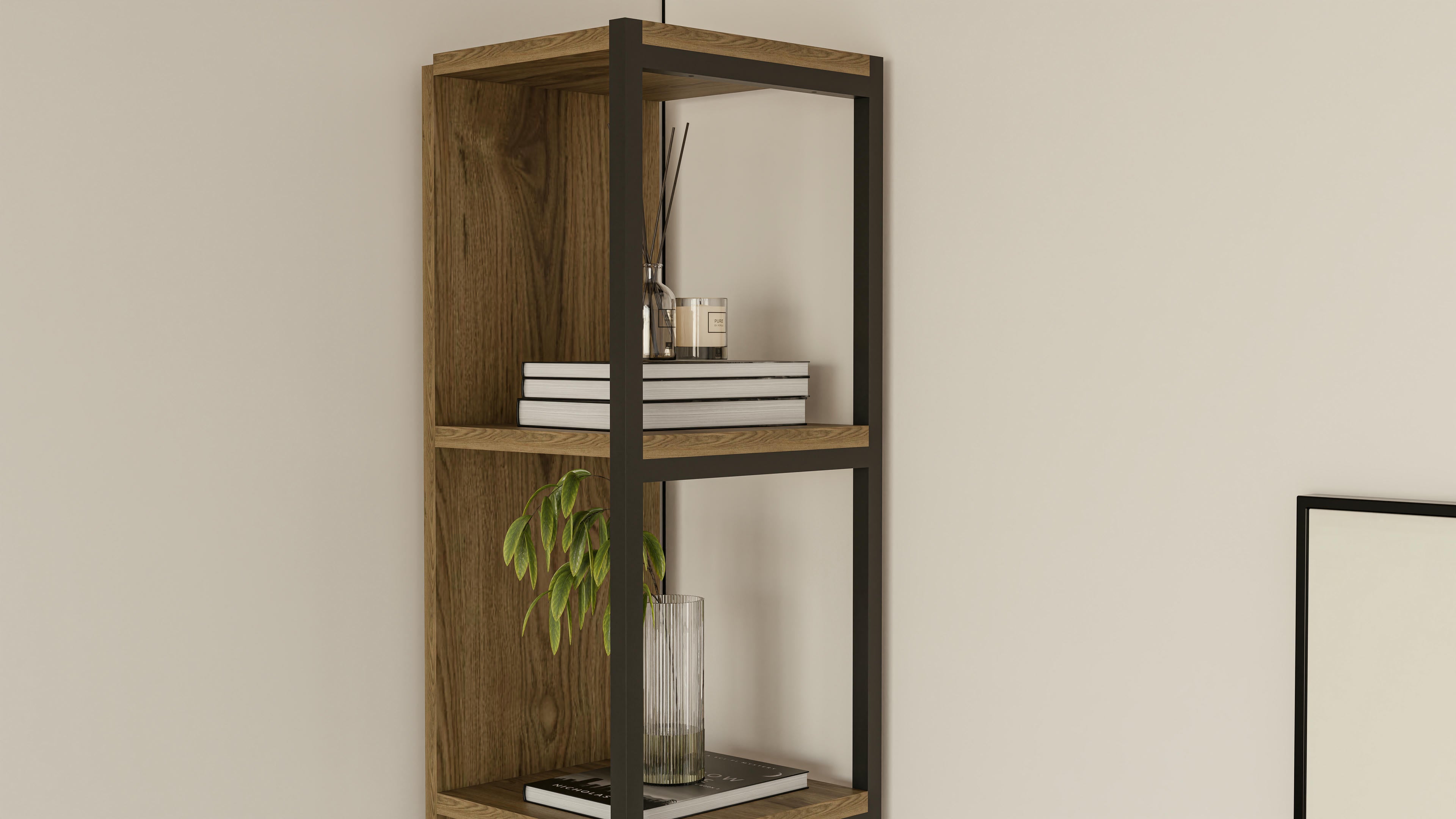 Texas Corner Bookshelf 3