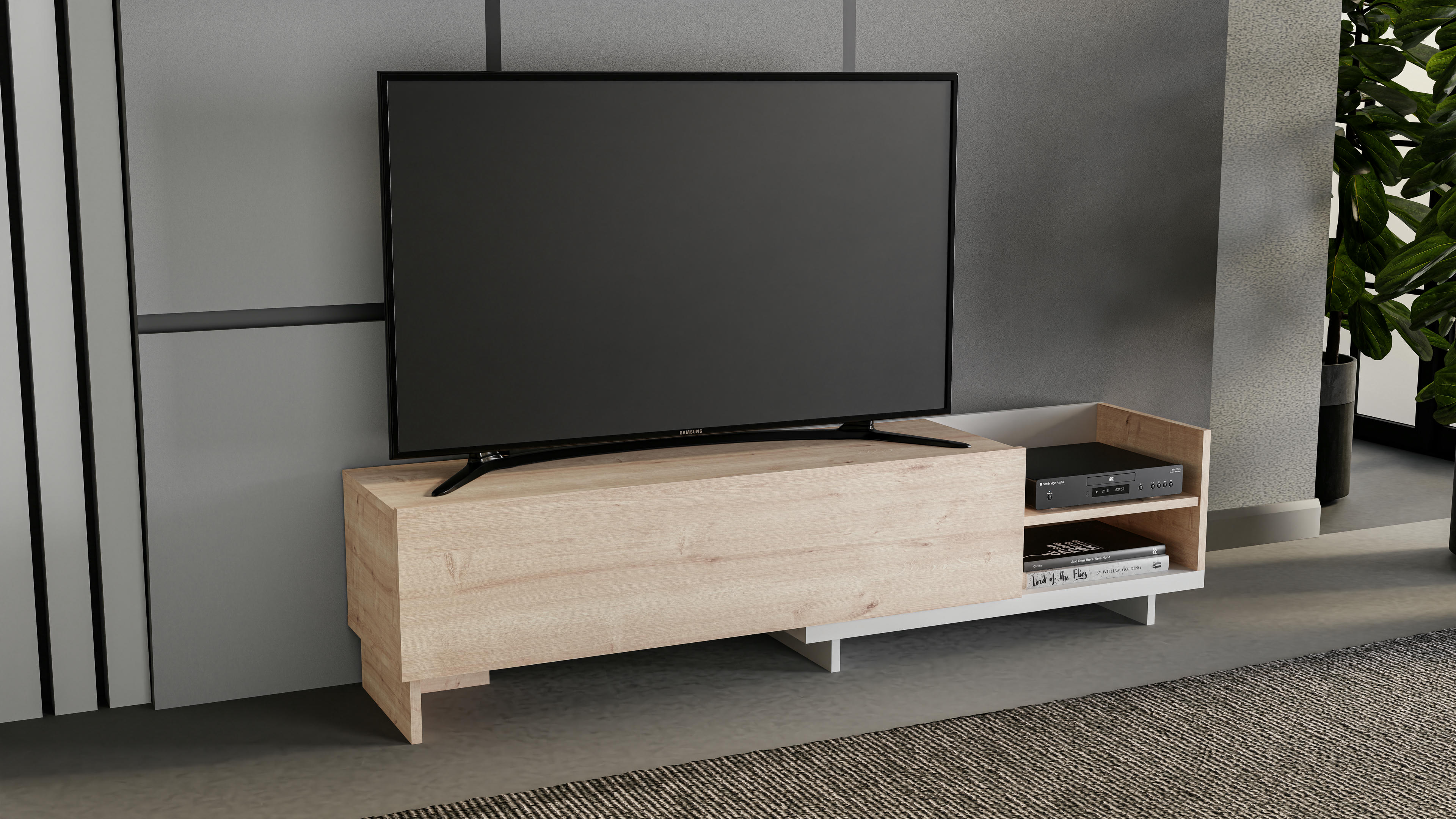 Parion TV Unit 8