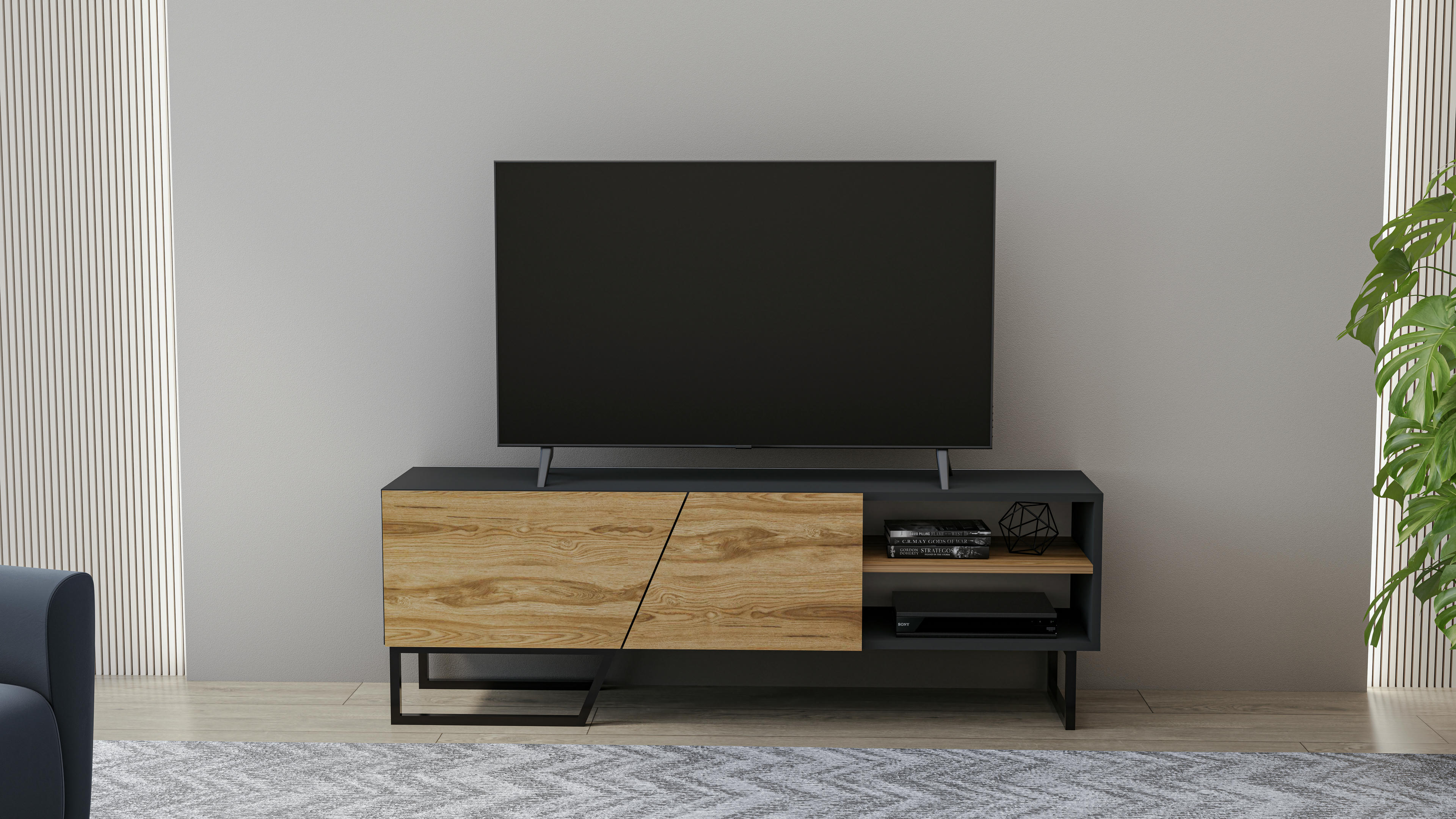 Denasse TV Unit 15
