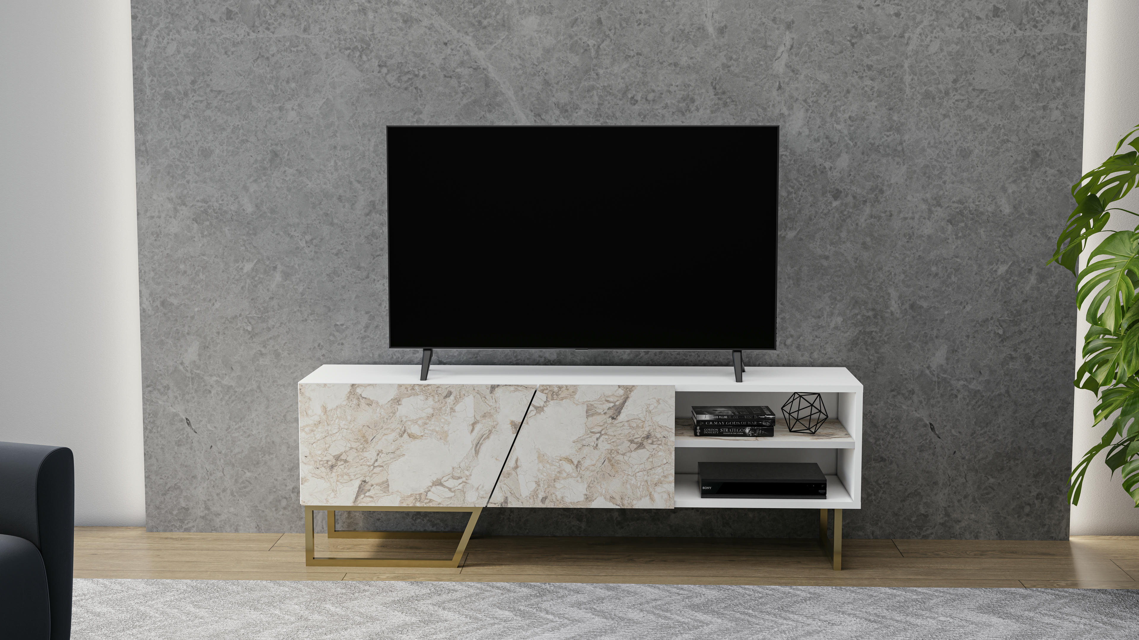 Denasse TV Unit