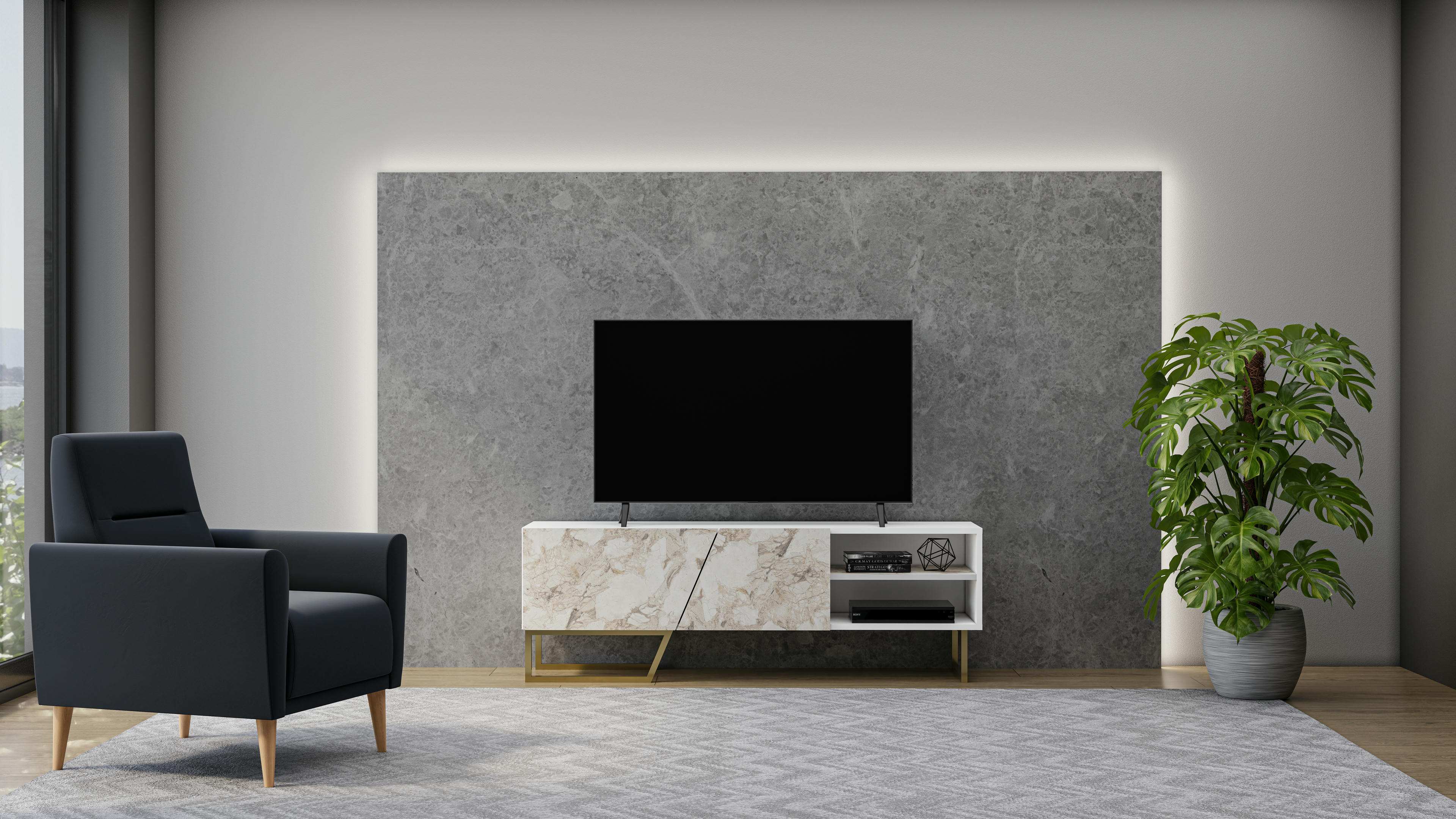 Denasse TV Unit