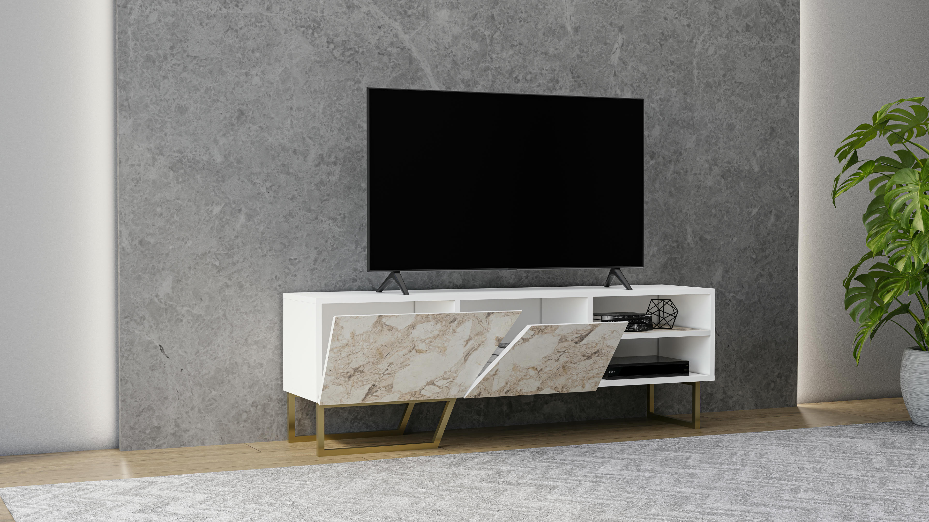 Denasse TV Unit 5