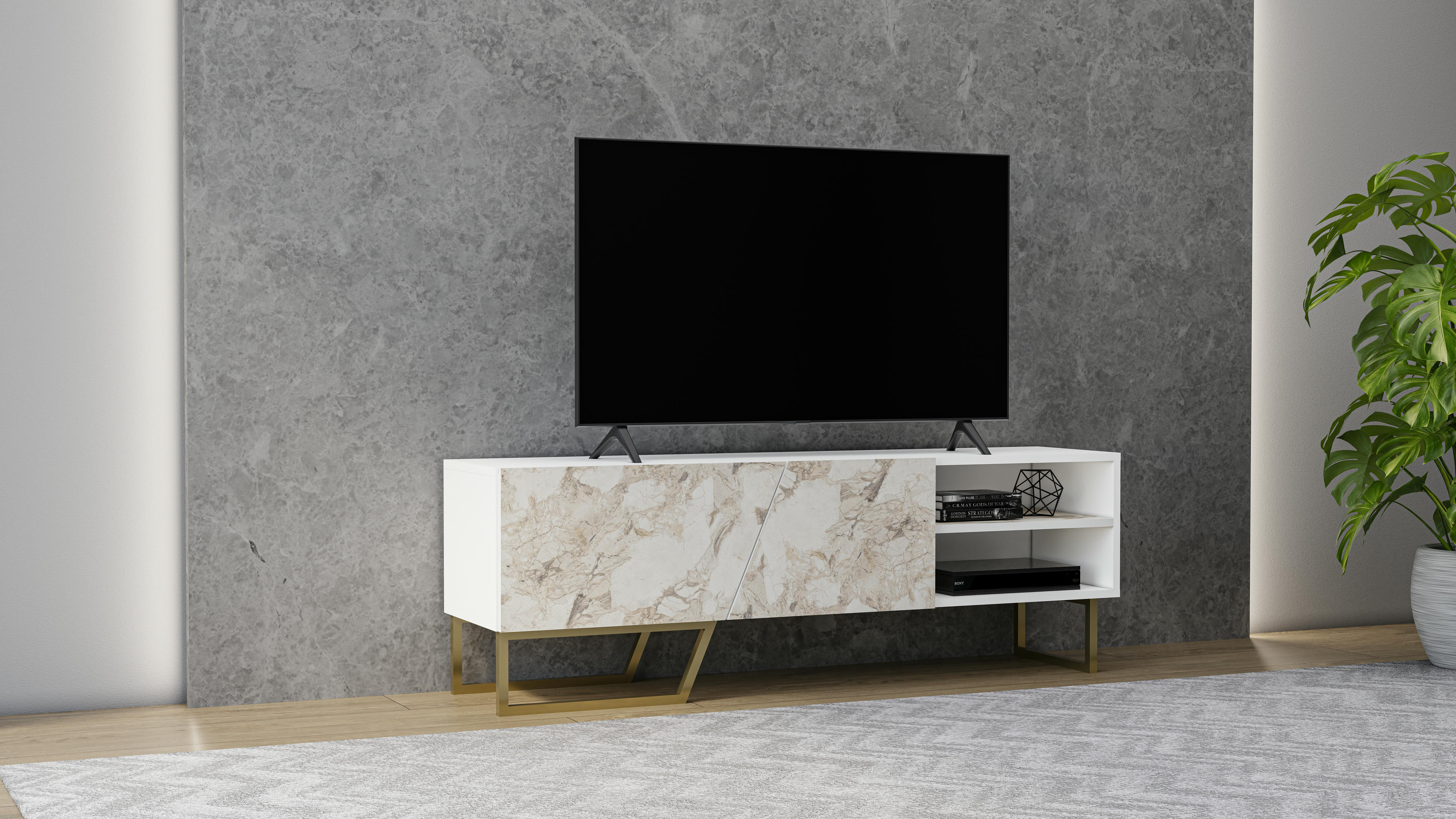Denasse TV Unit 4