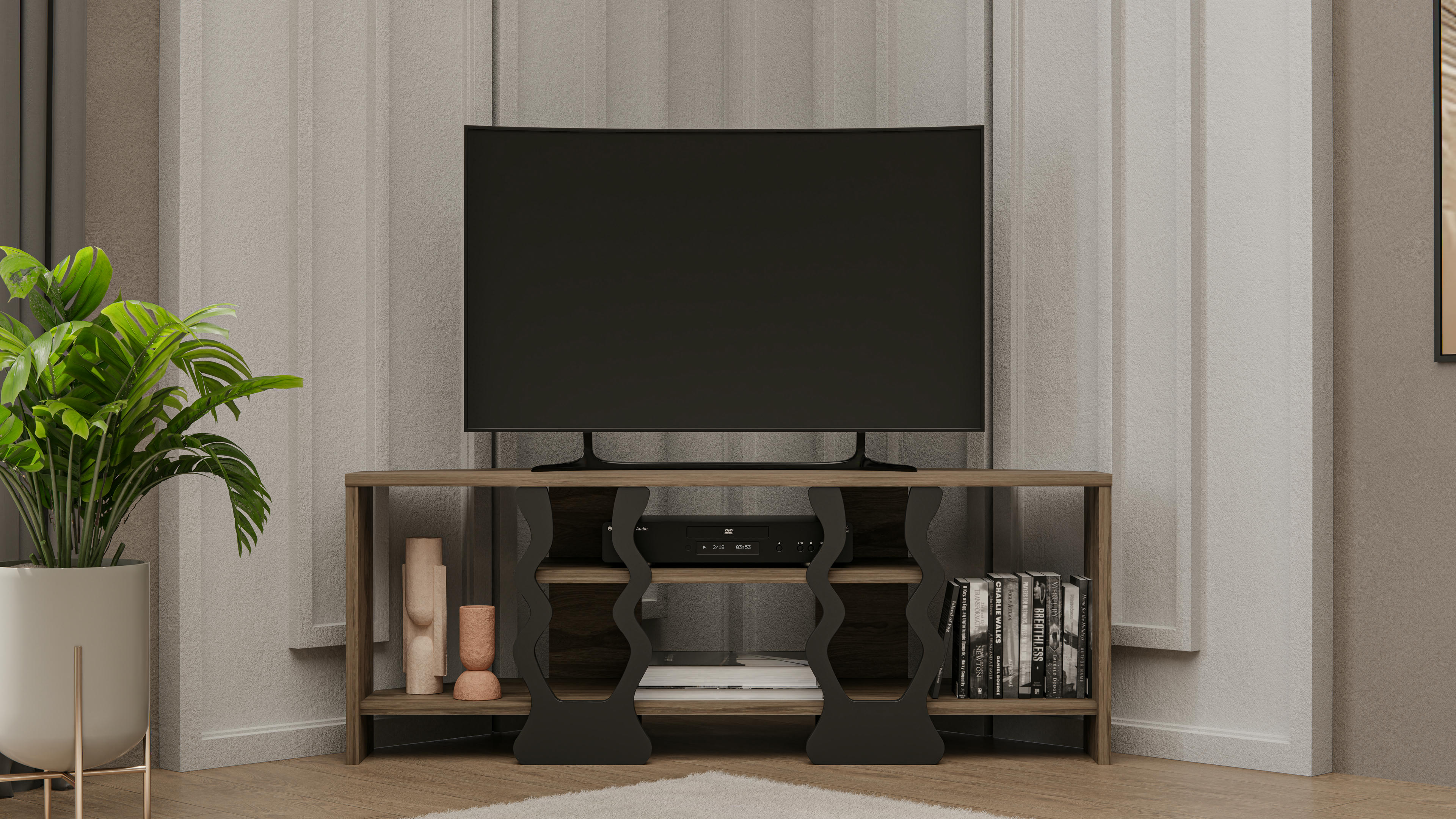 Firal TV Unit 20