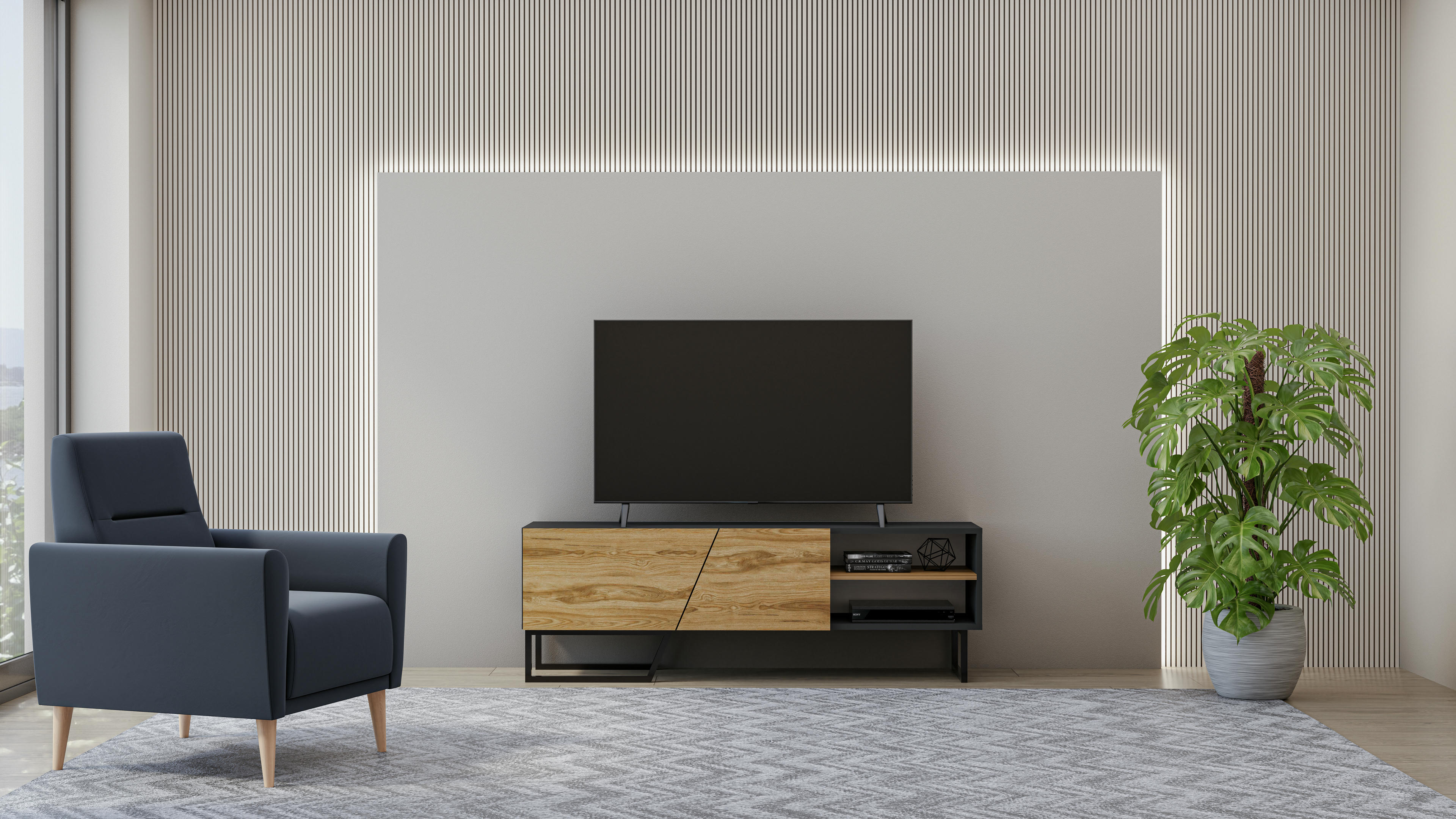 Denasse TV Unit 14