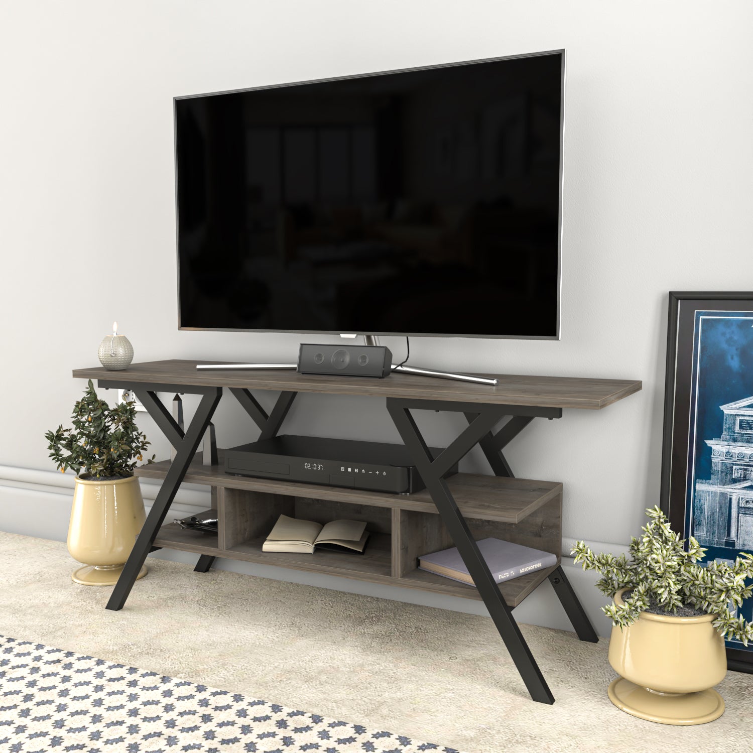 Minevra TV Unit 2