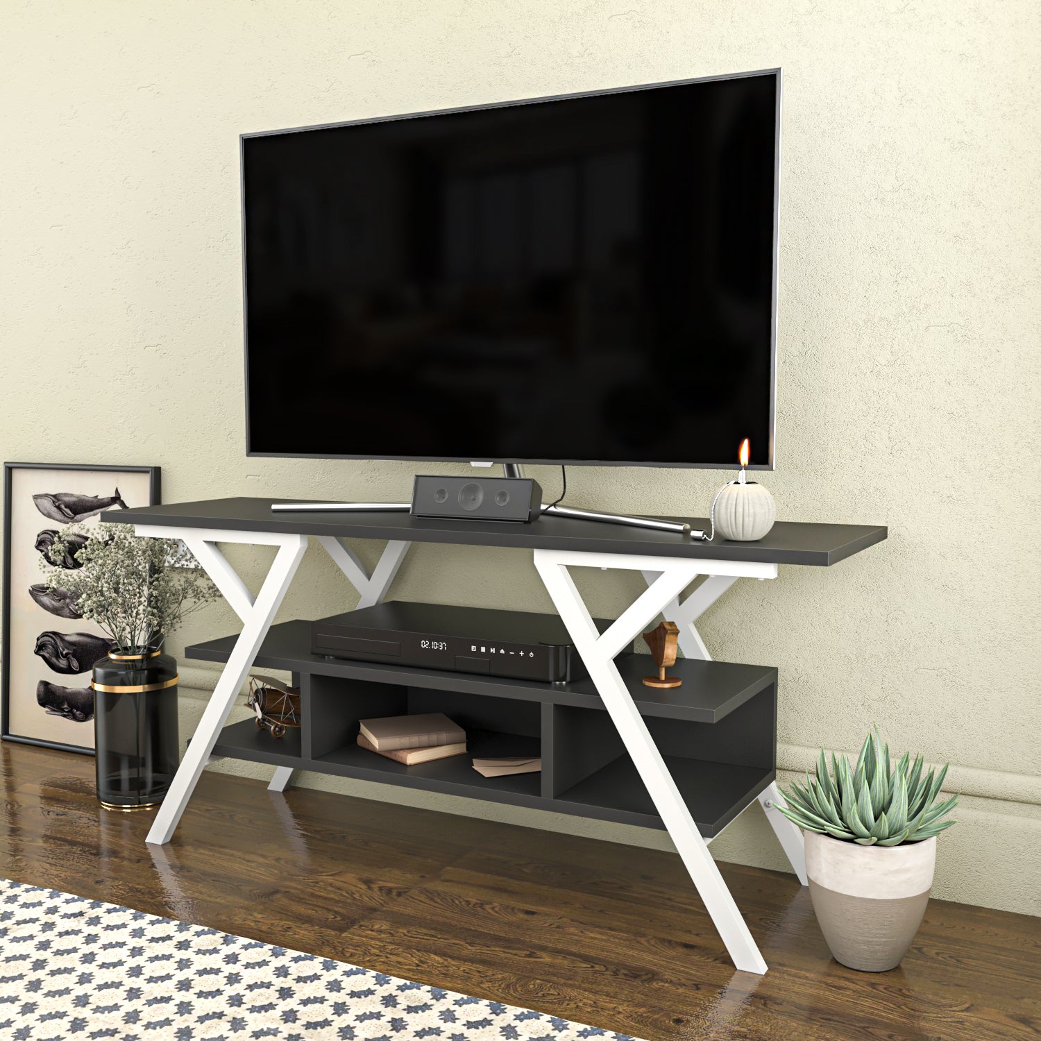 Minevra TV Unit 6