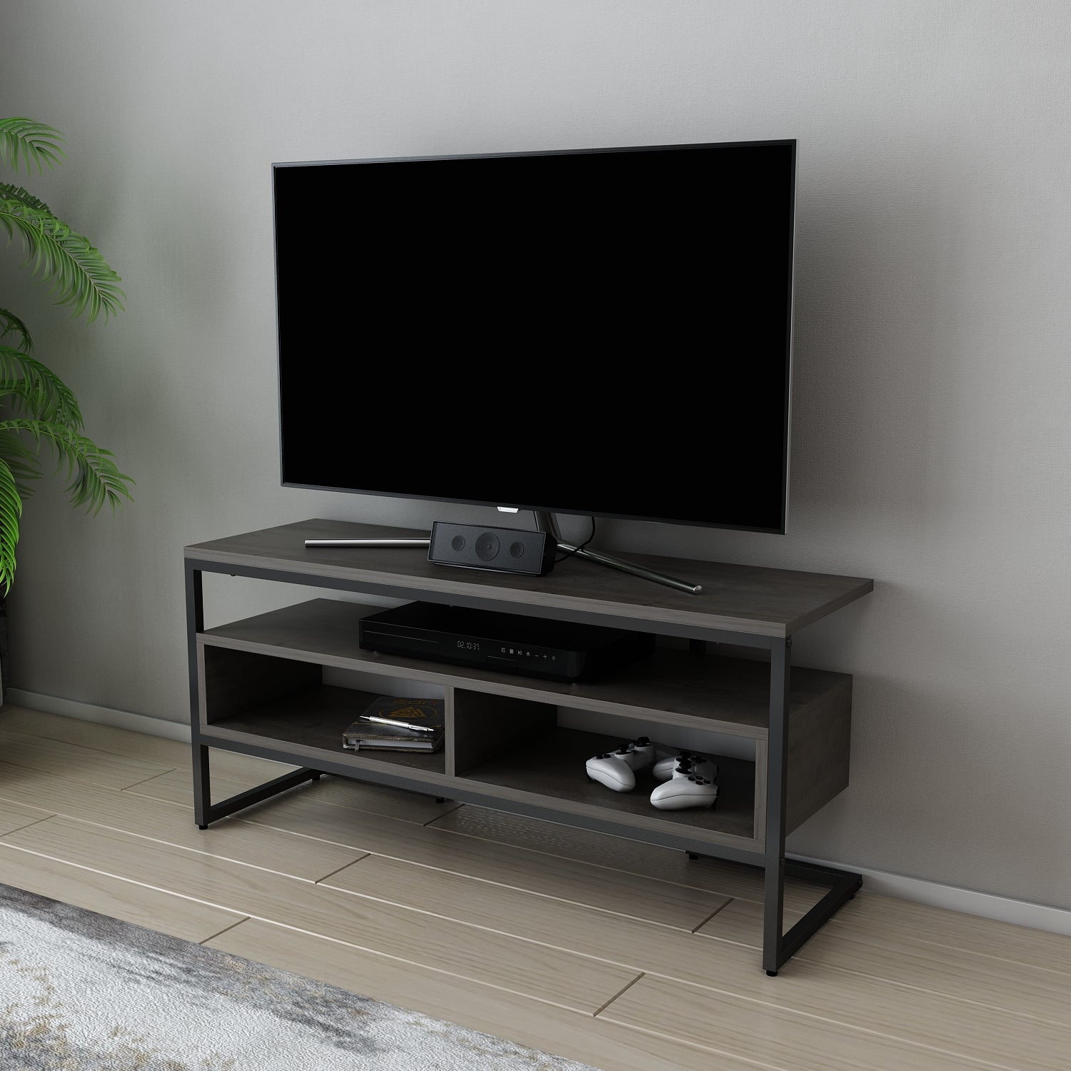 Merrion TV Unit 2