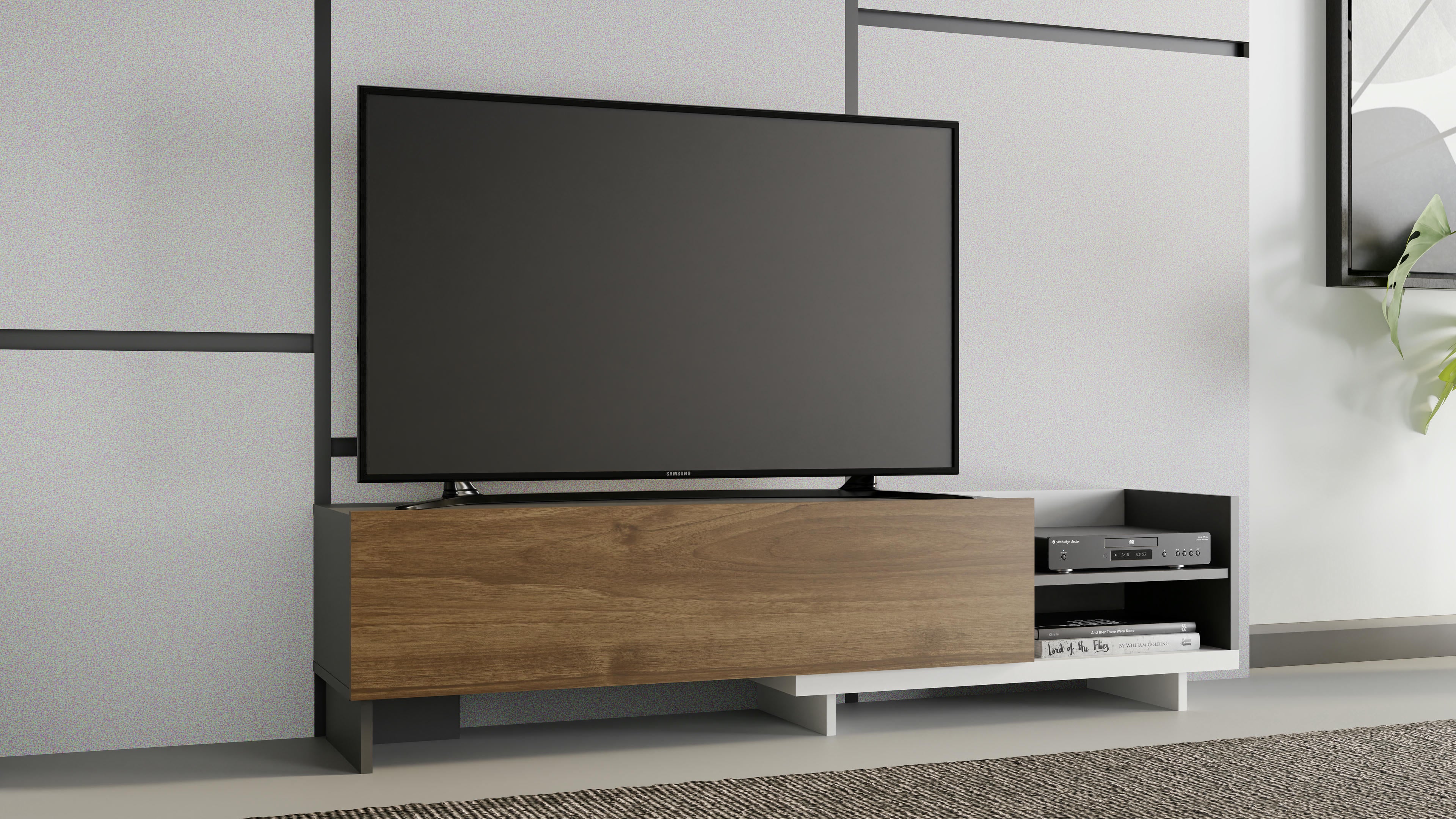 Parion TV Unit 14