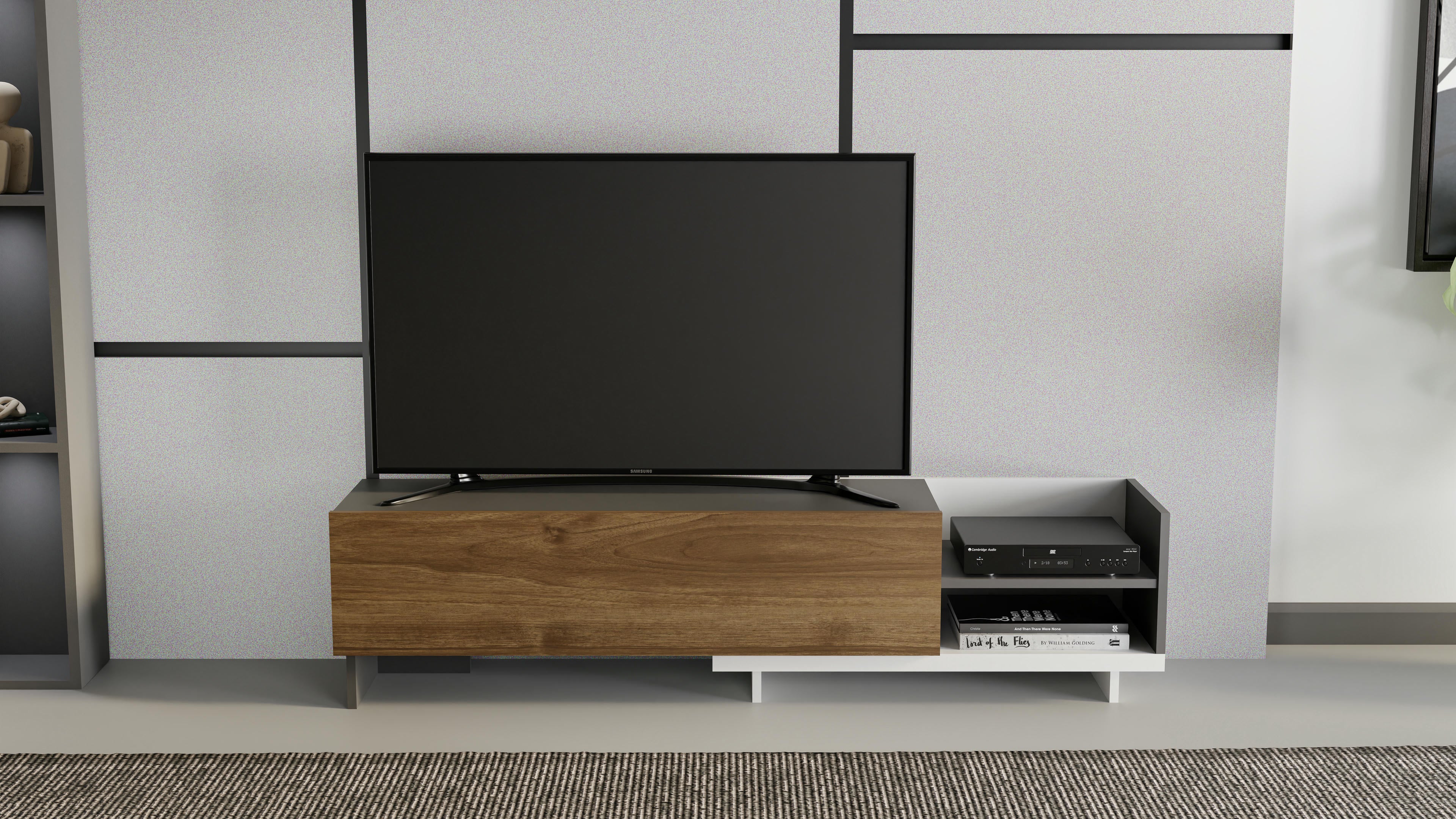 Parion TV Unit 12