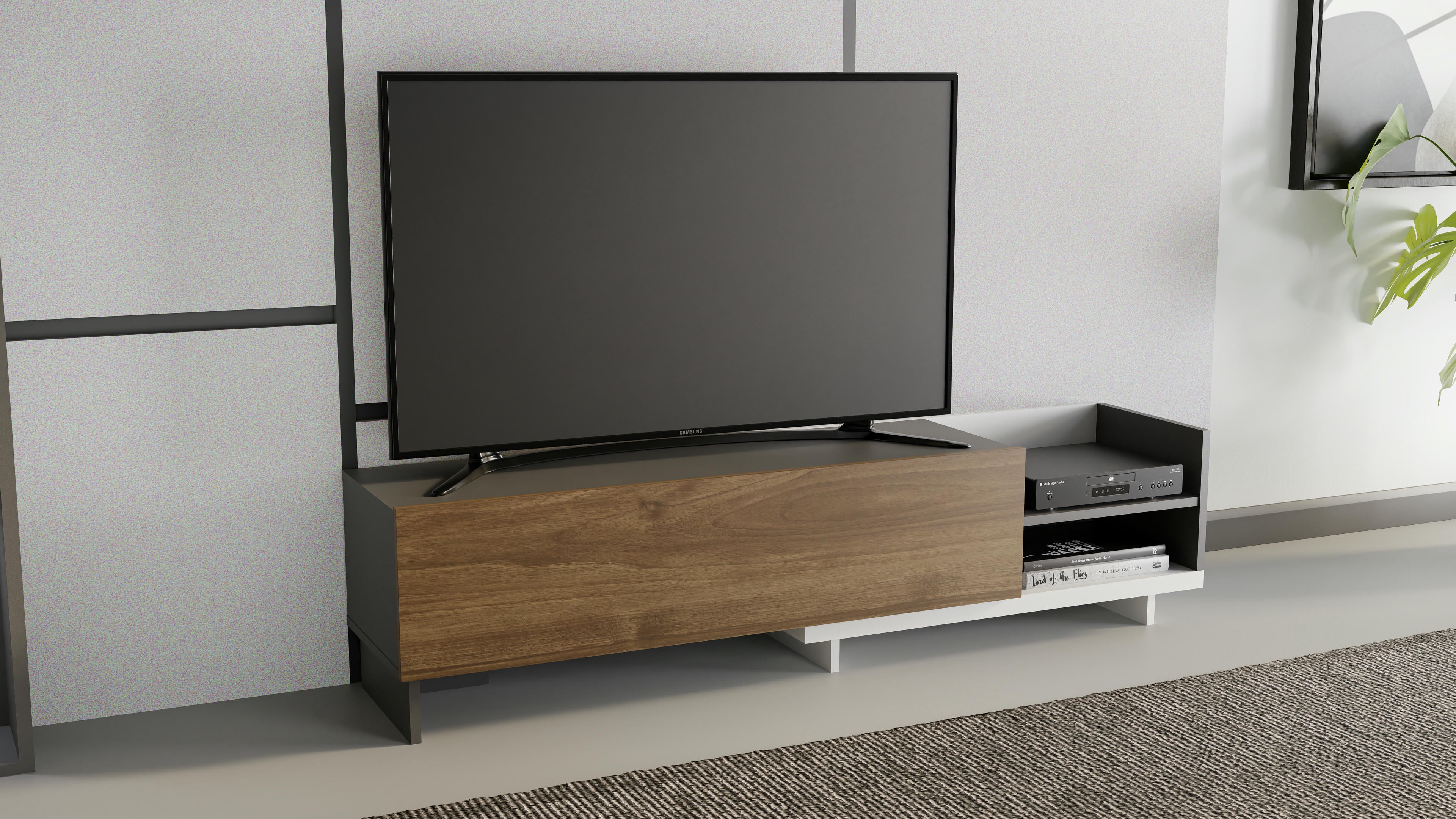 Parion TV Unit 13