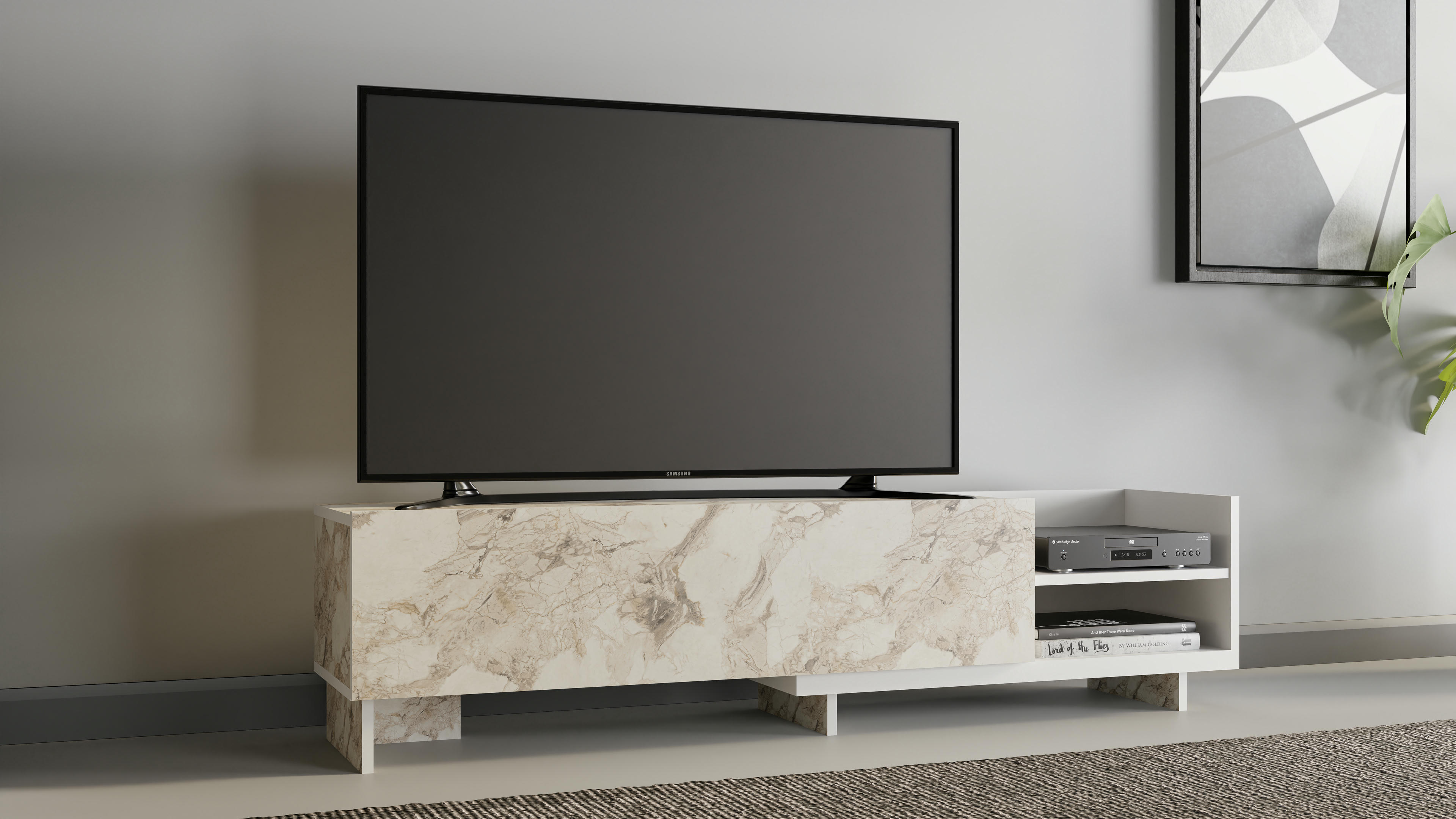 Parion TV Unit 4