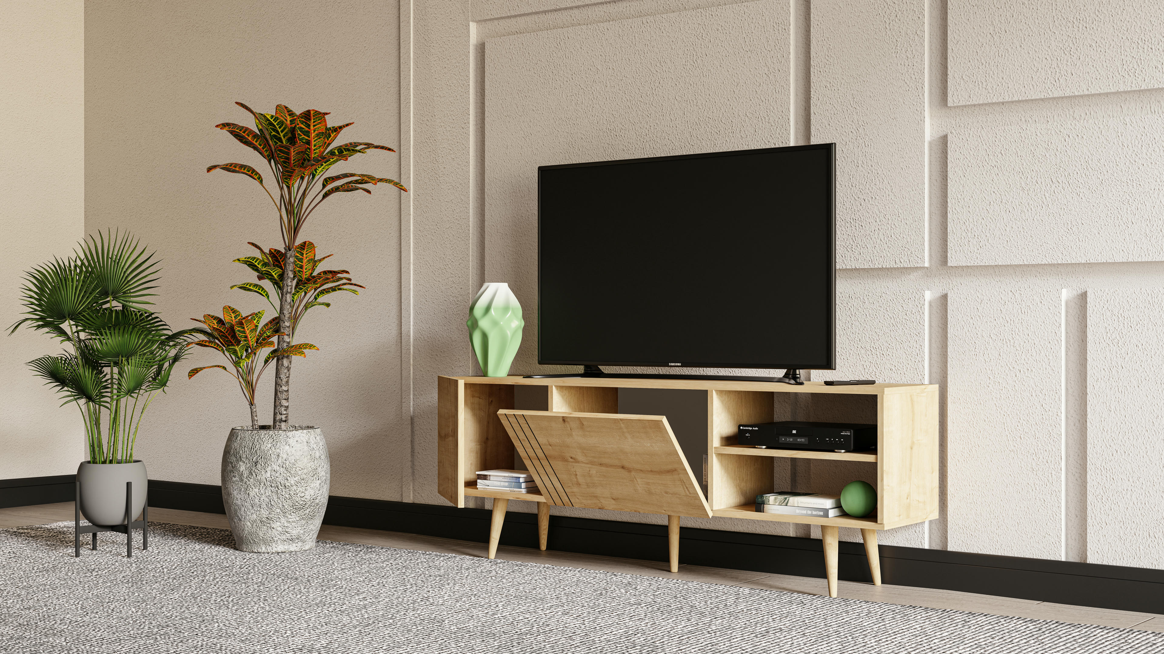 Ronas TV Unit 4