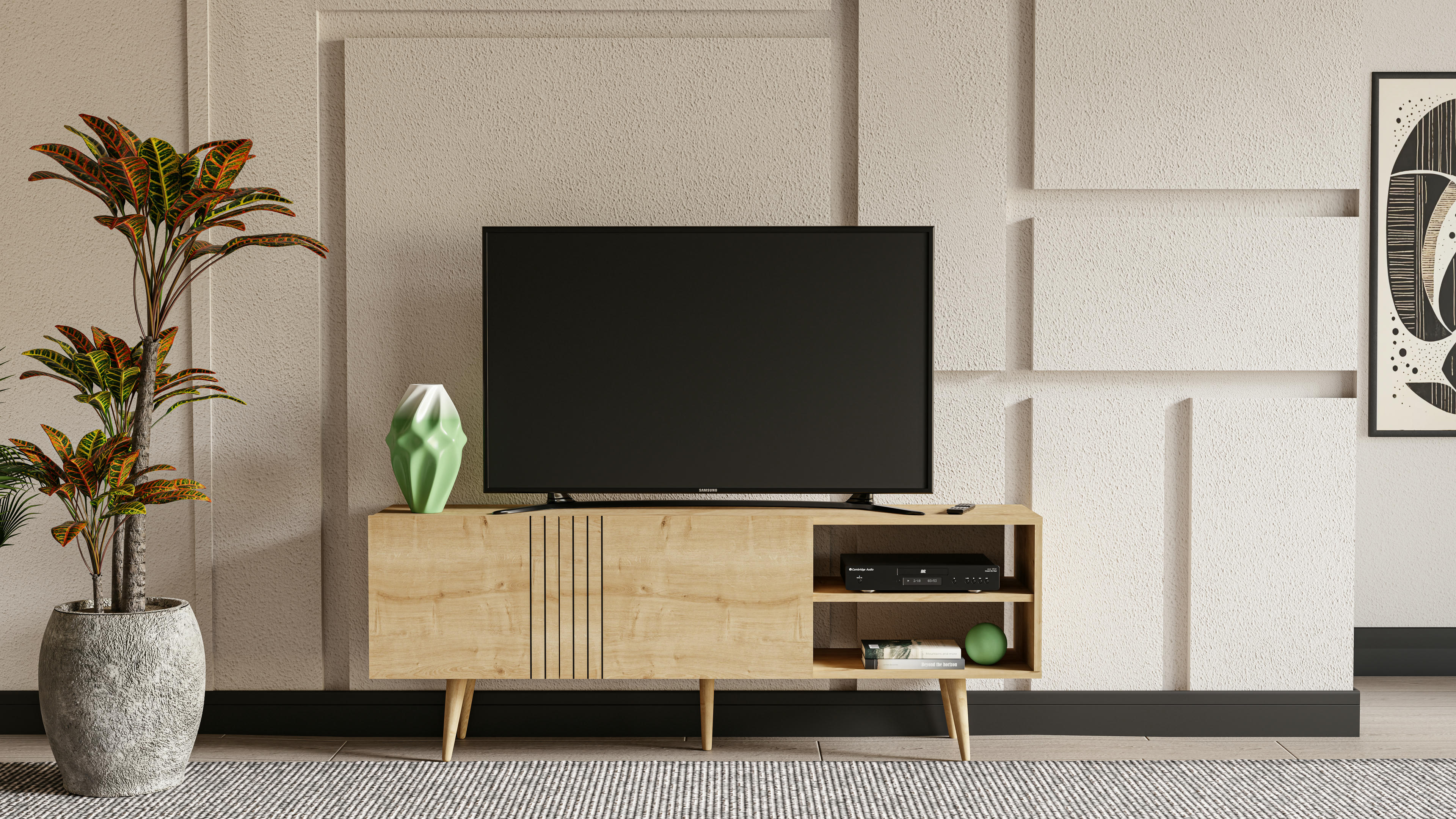 Ronas TV Unit
