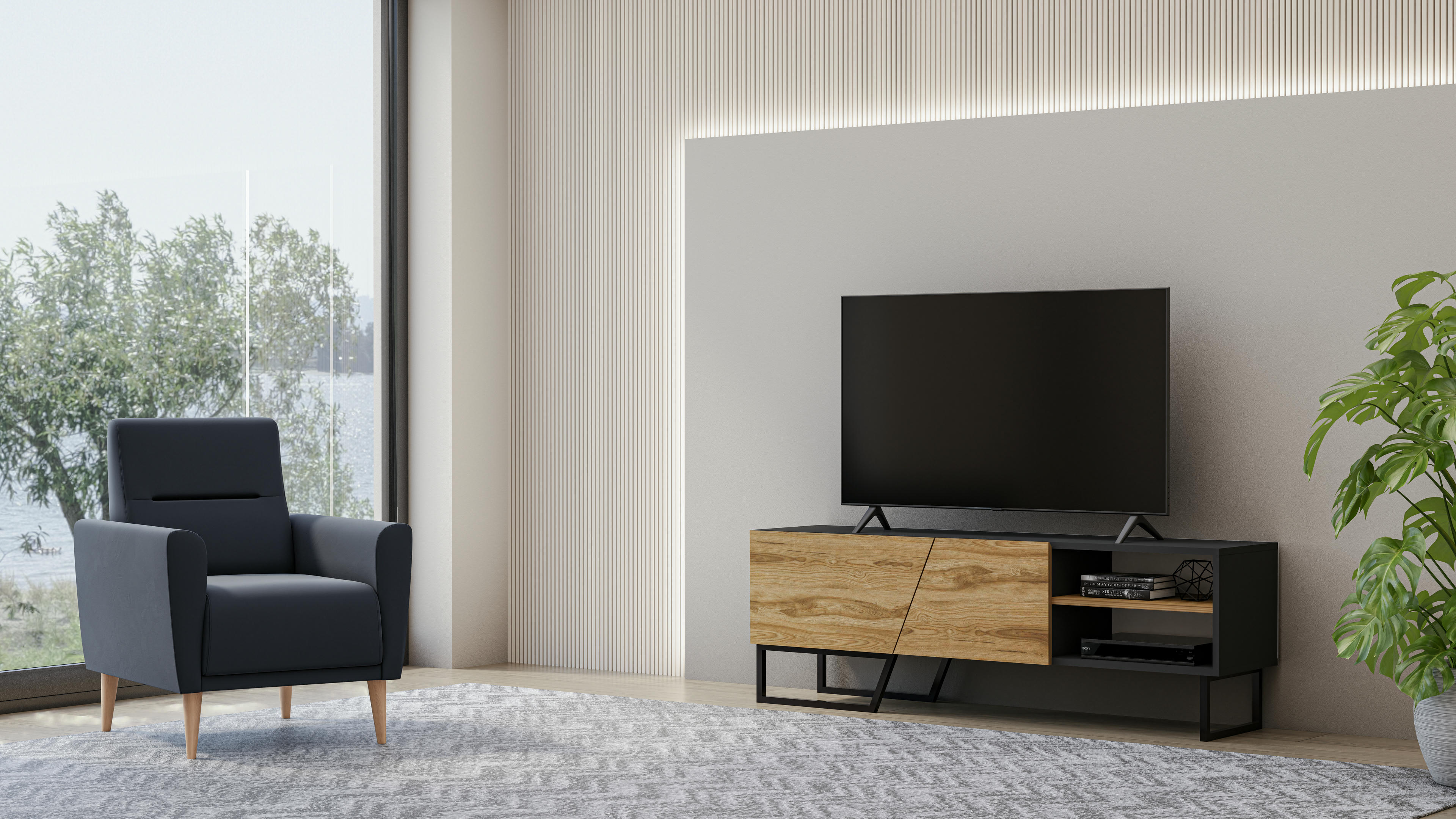 Denasse TV Unit 16