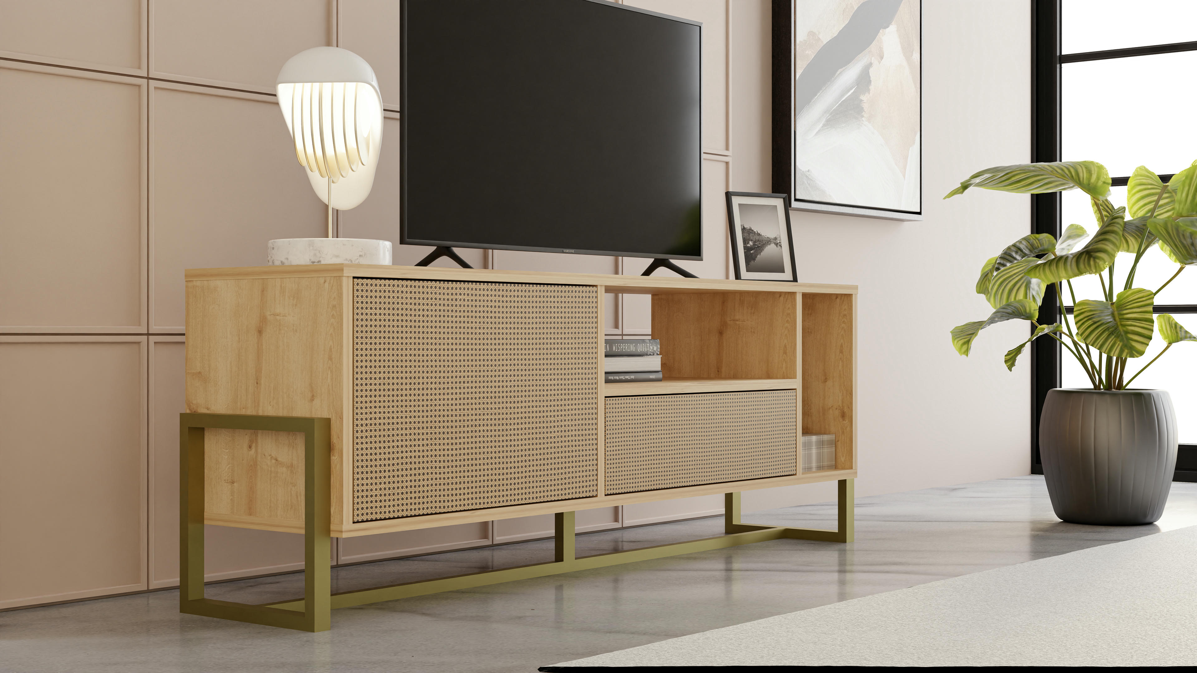 Utopia TV Unit 14