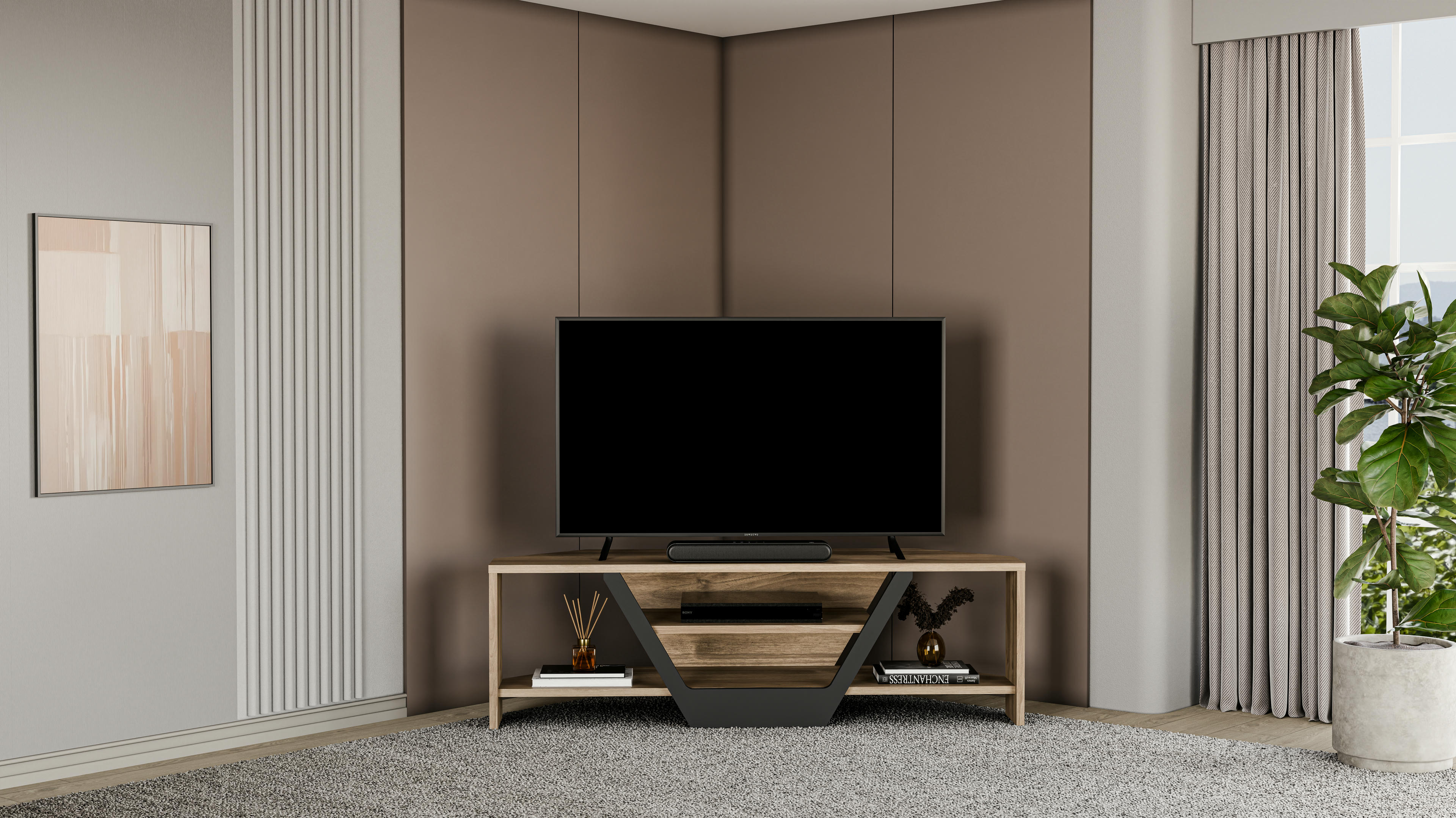 Sares TV Unit 6