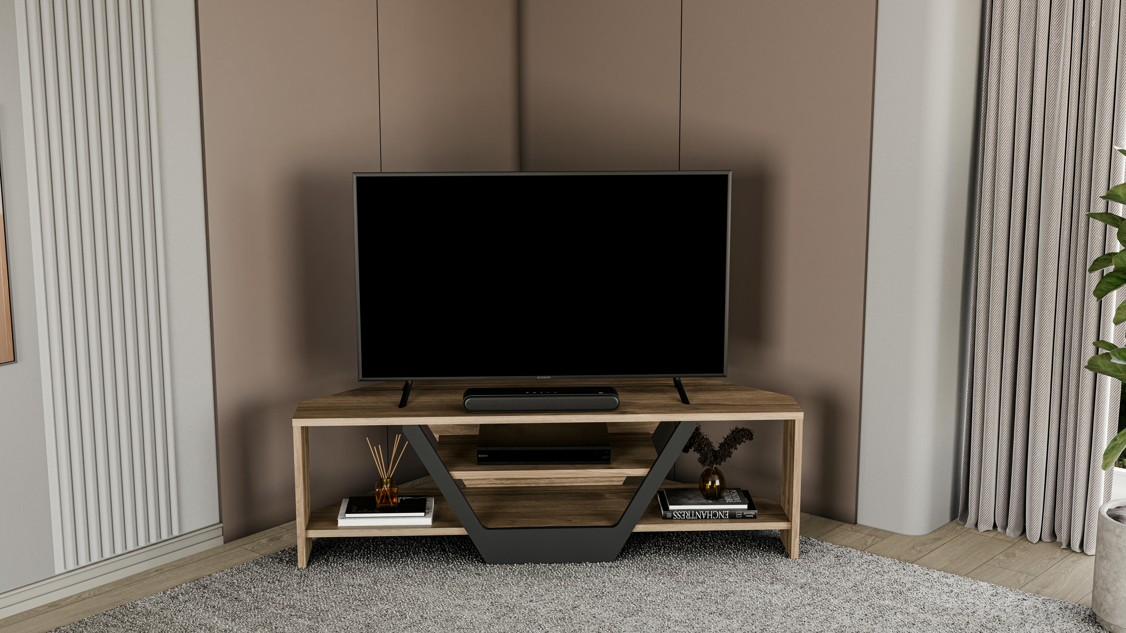 Sares TV Unit 8