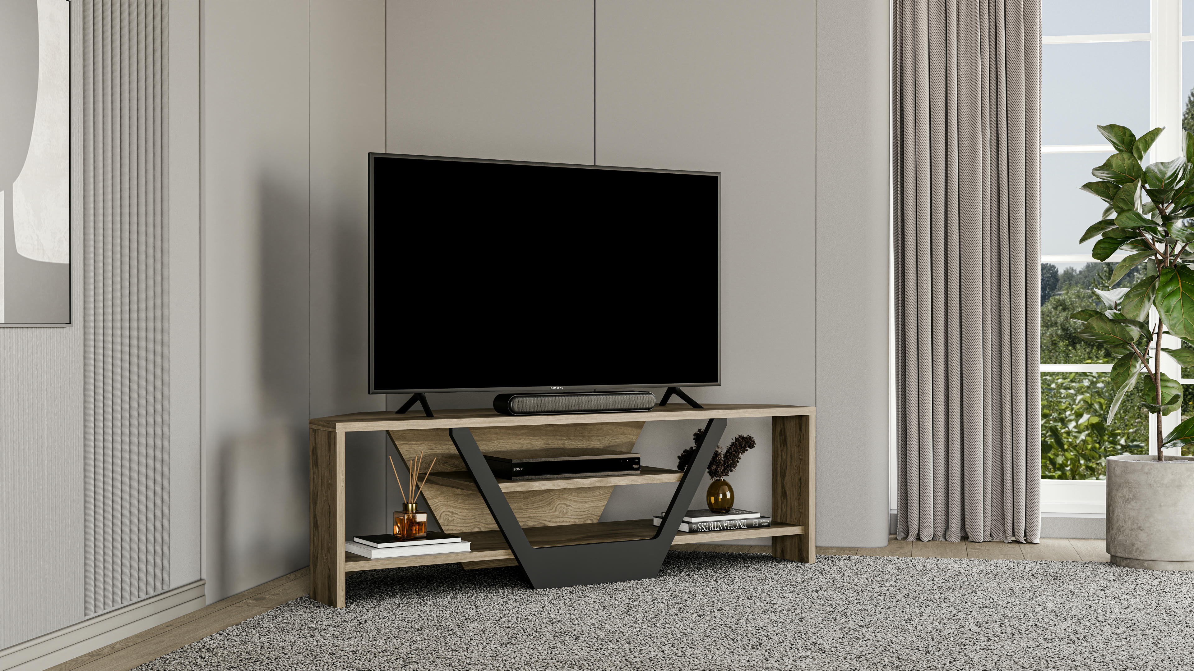 Sares TV Unit 18