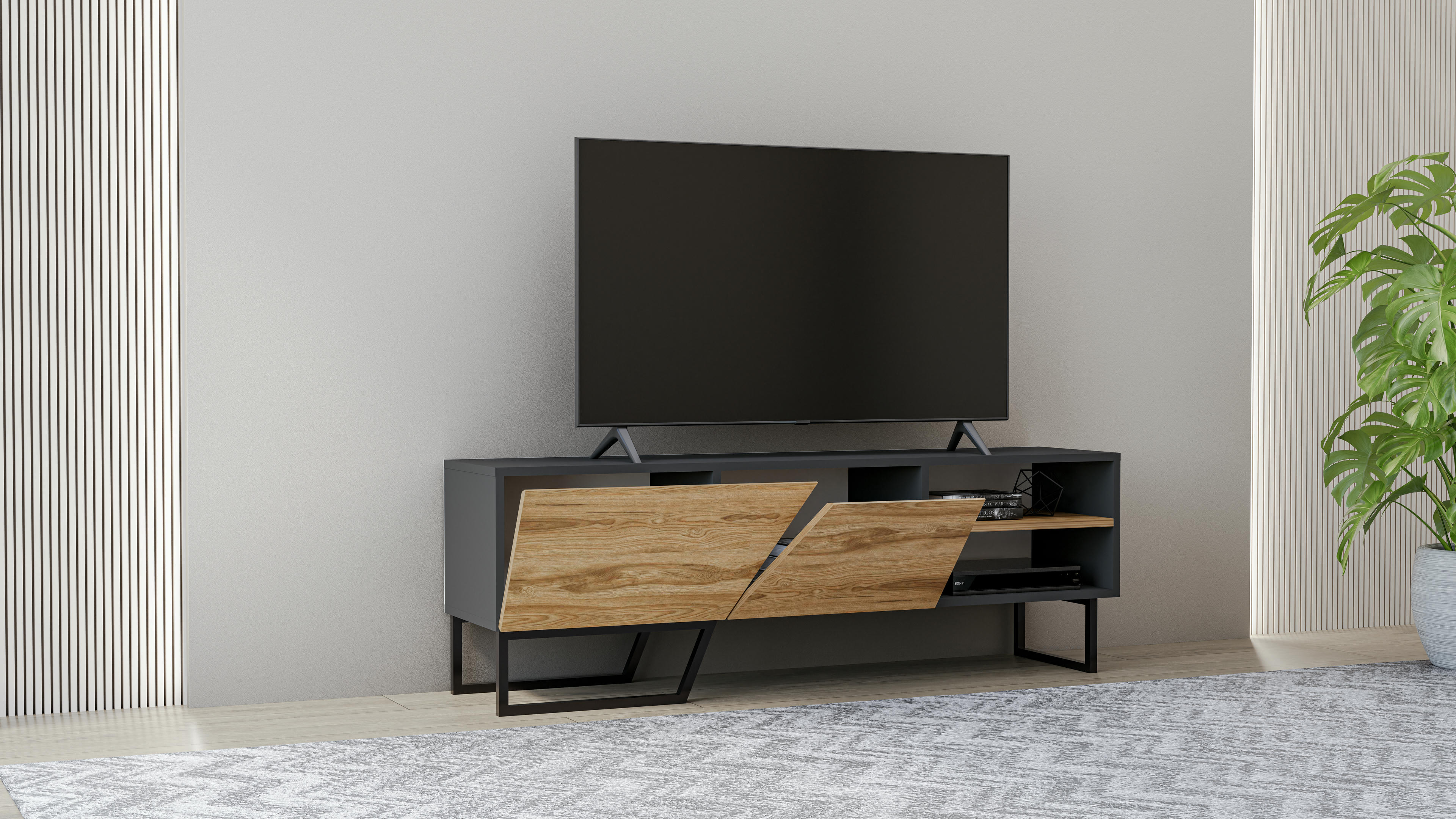 Denasse TV Unit 17