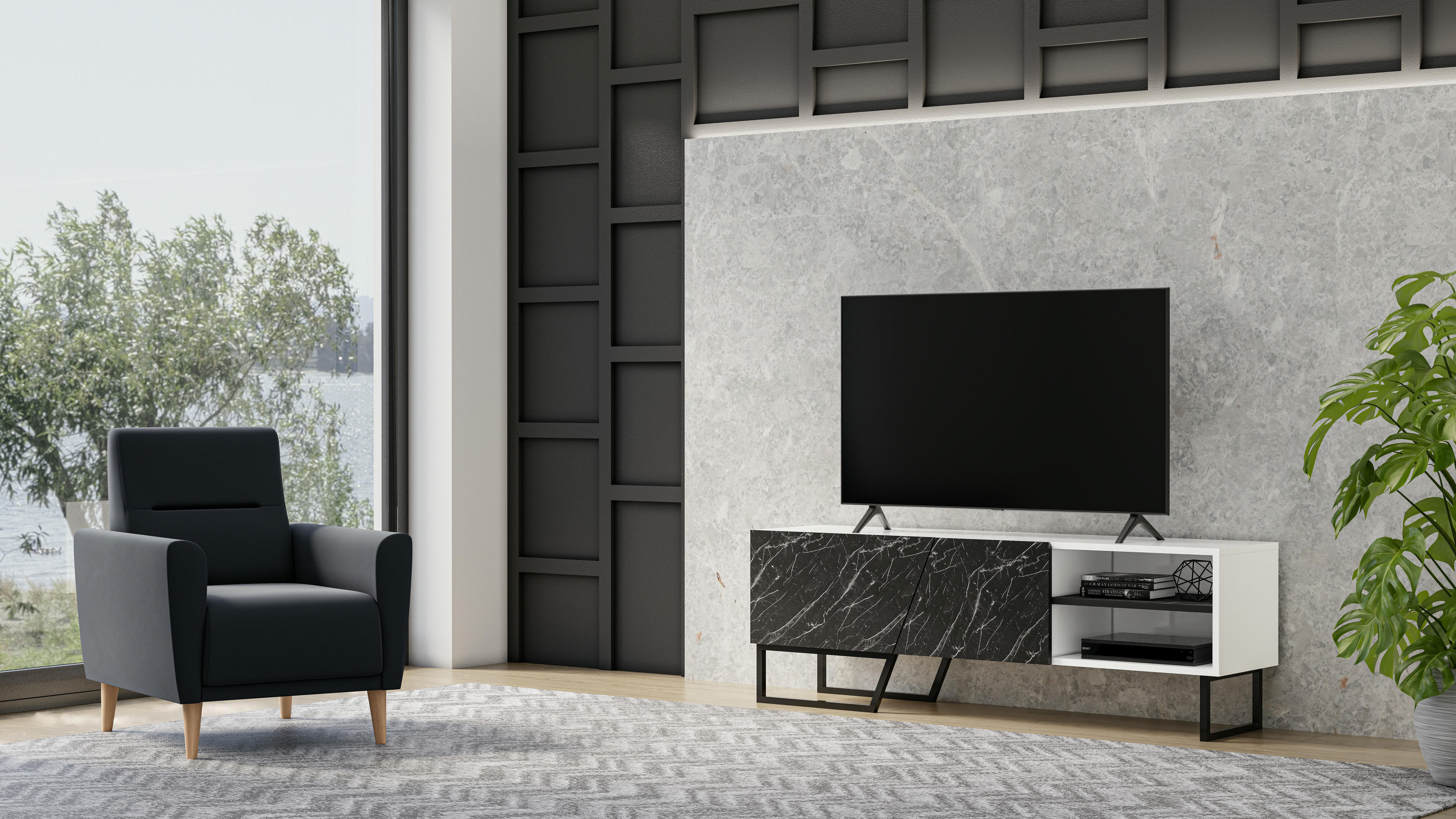 Denasse TV Unit 10