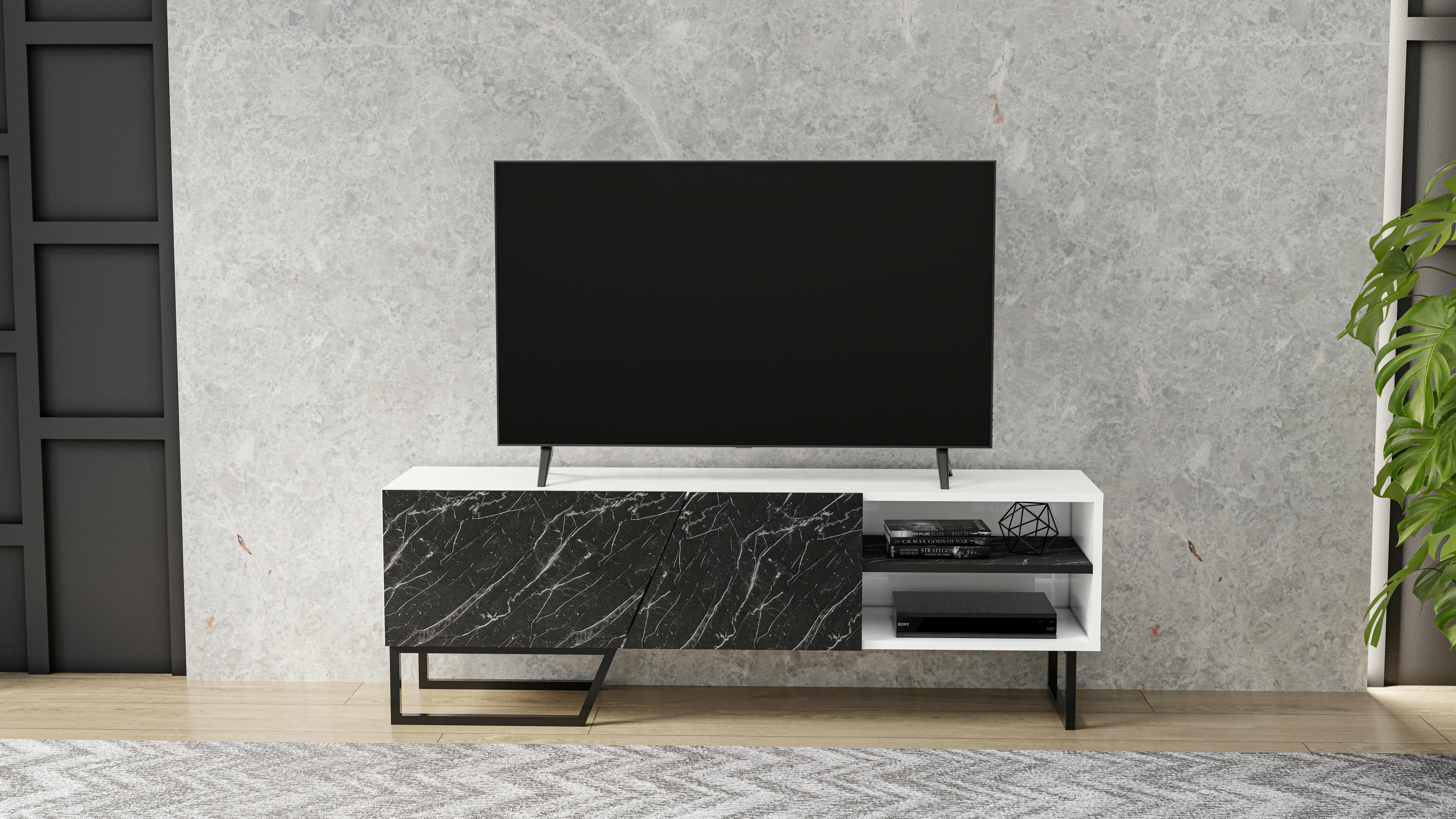 Denasse TV Unit 9