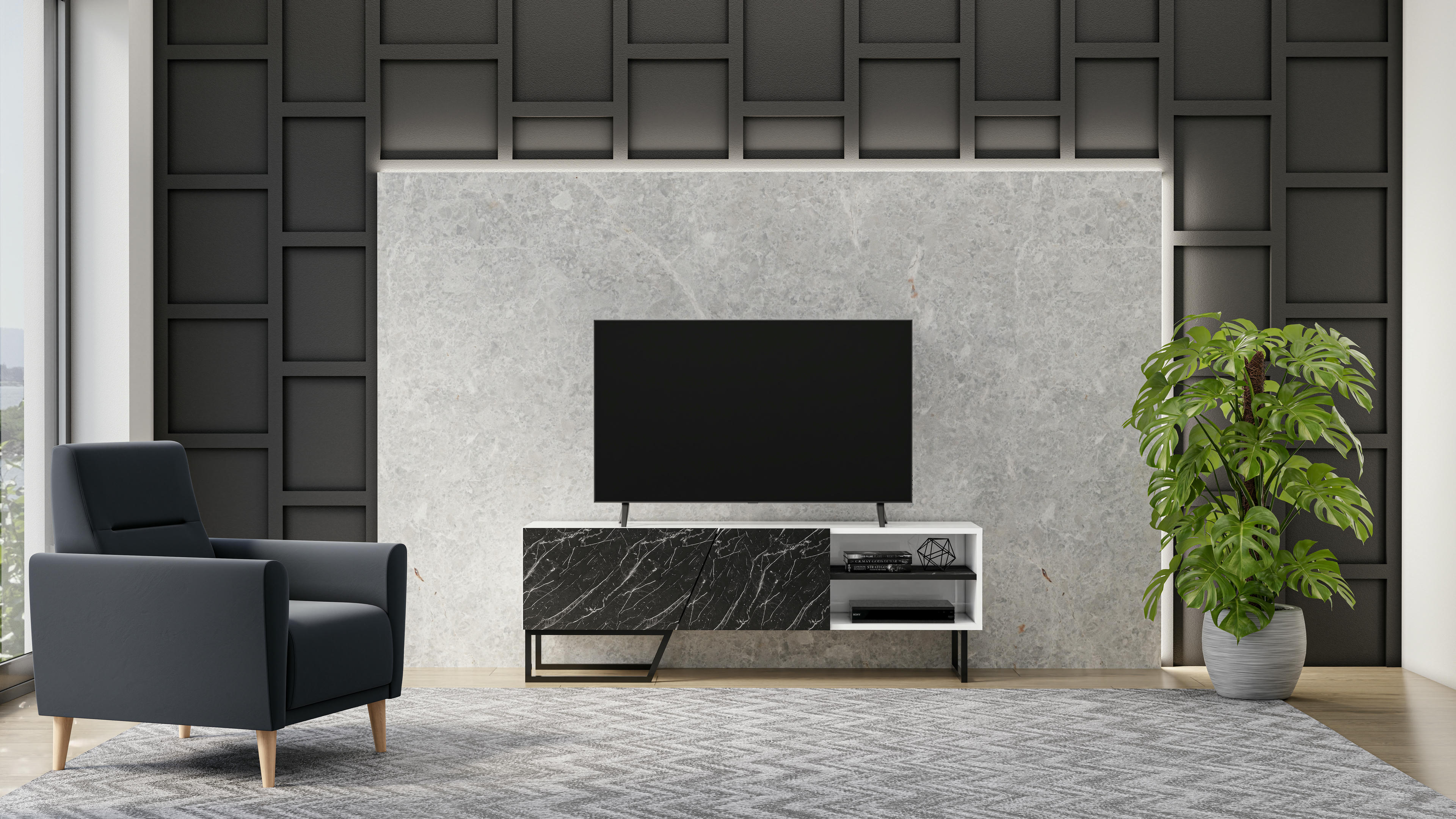 Denasse TV Unit 8