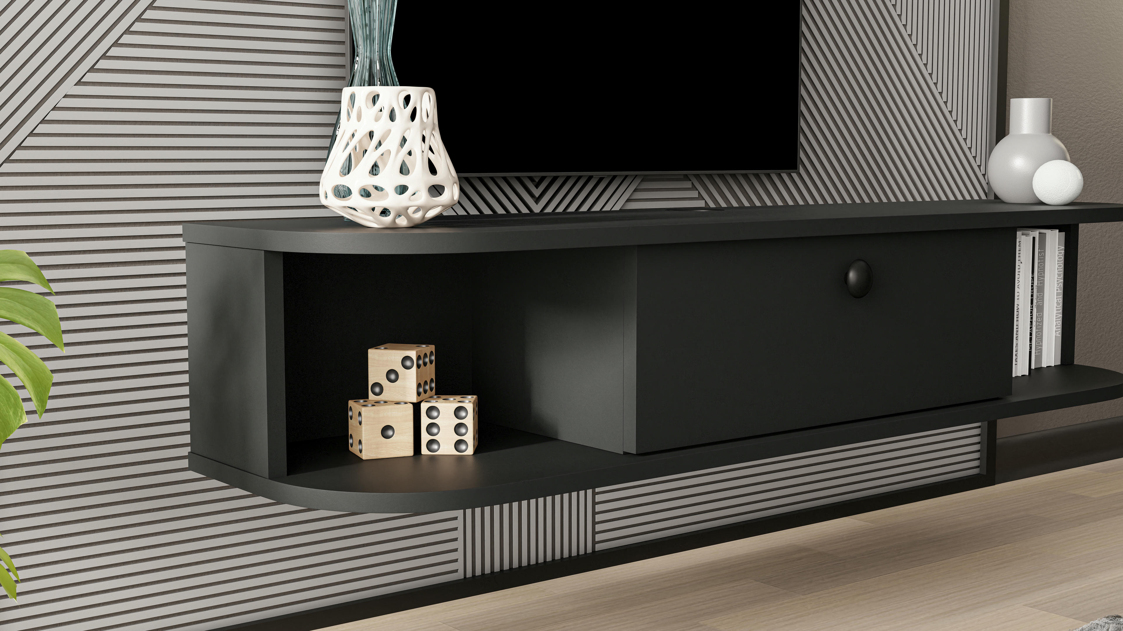 Ibarra TV Unit 3