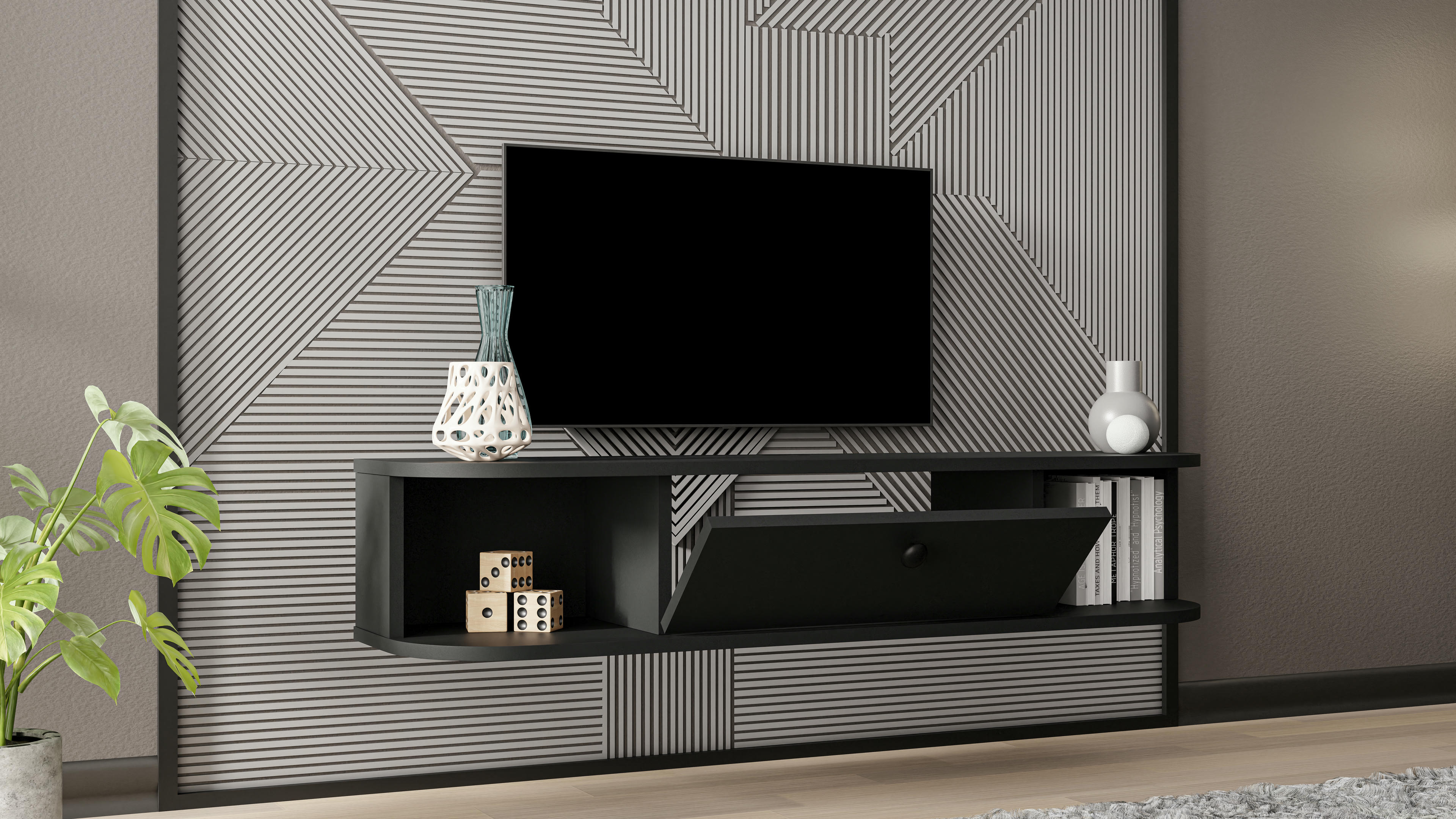Ibarra TV Unit 5