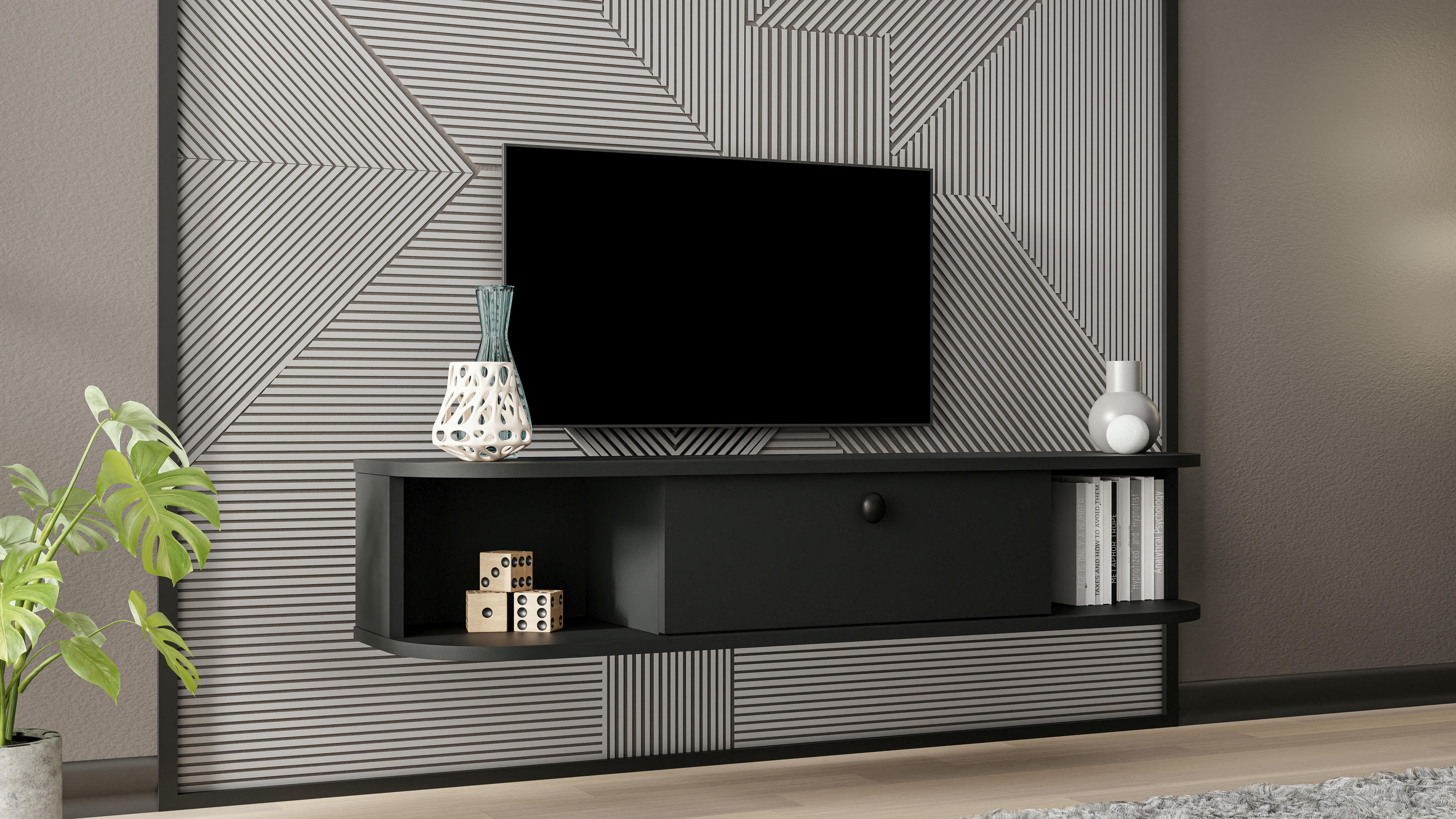 Ibarra TV Unit 4