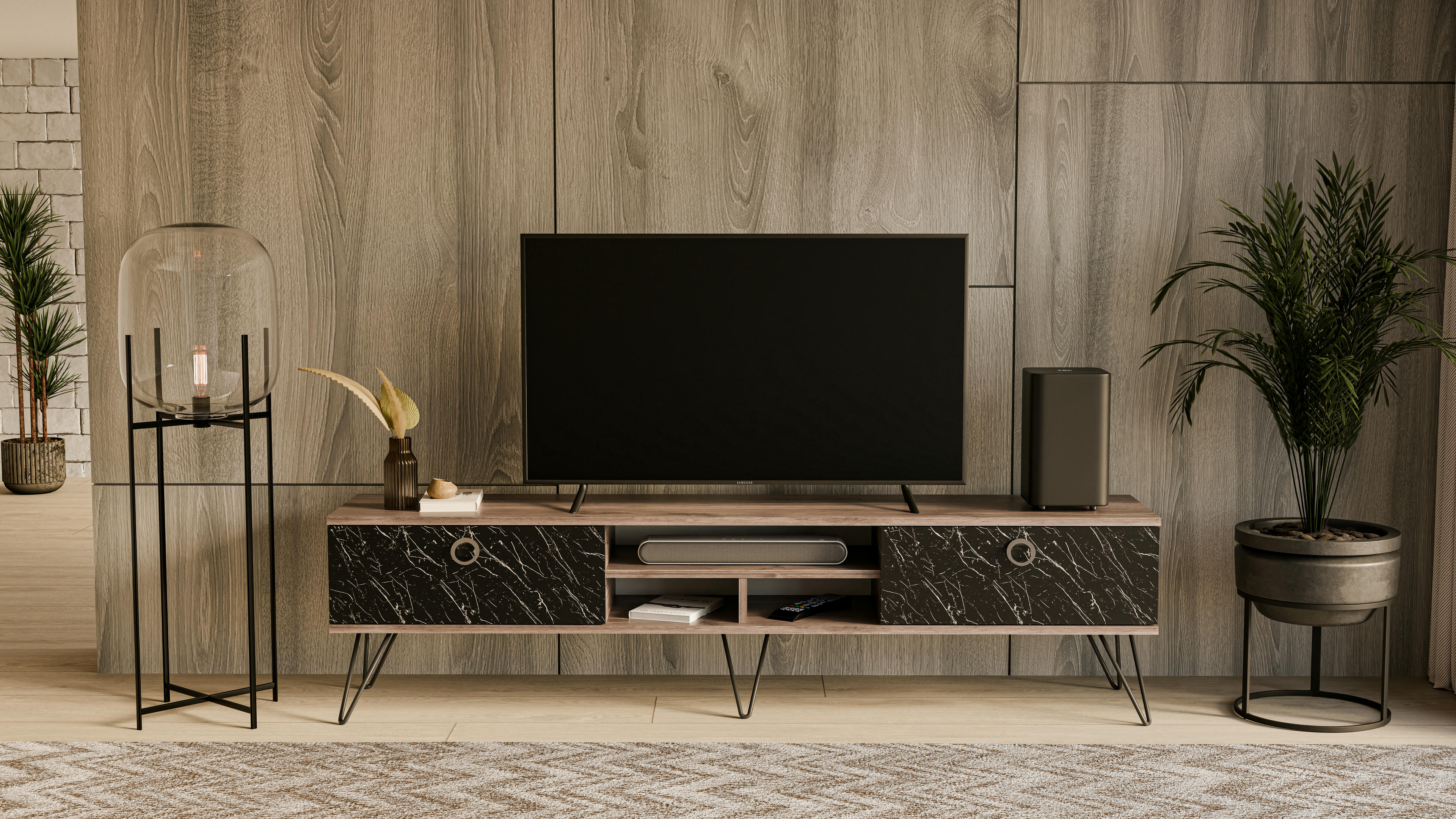 Lorenz TV Unit