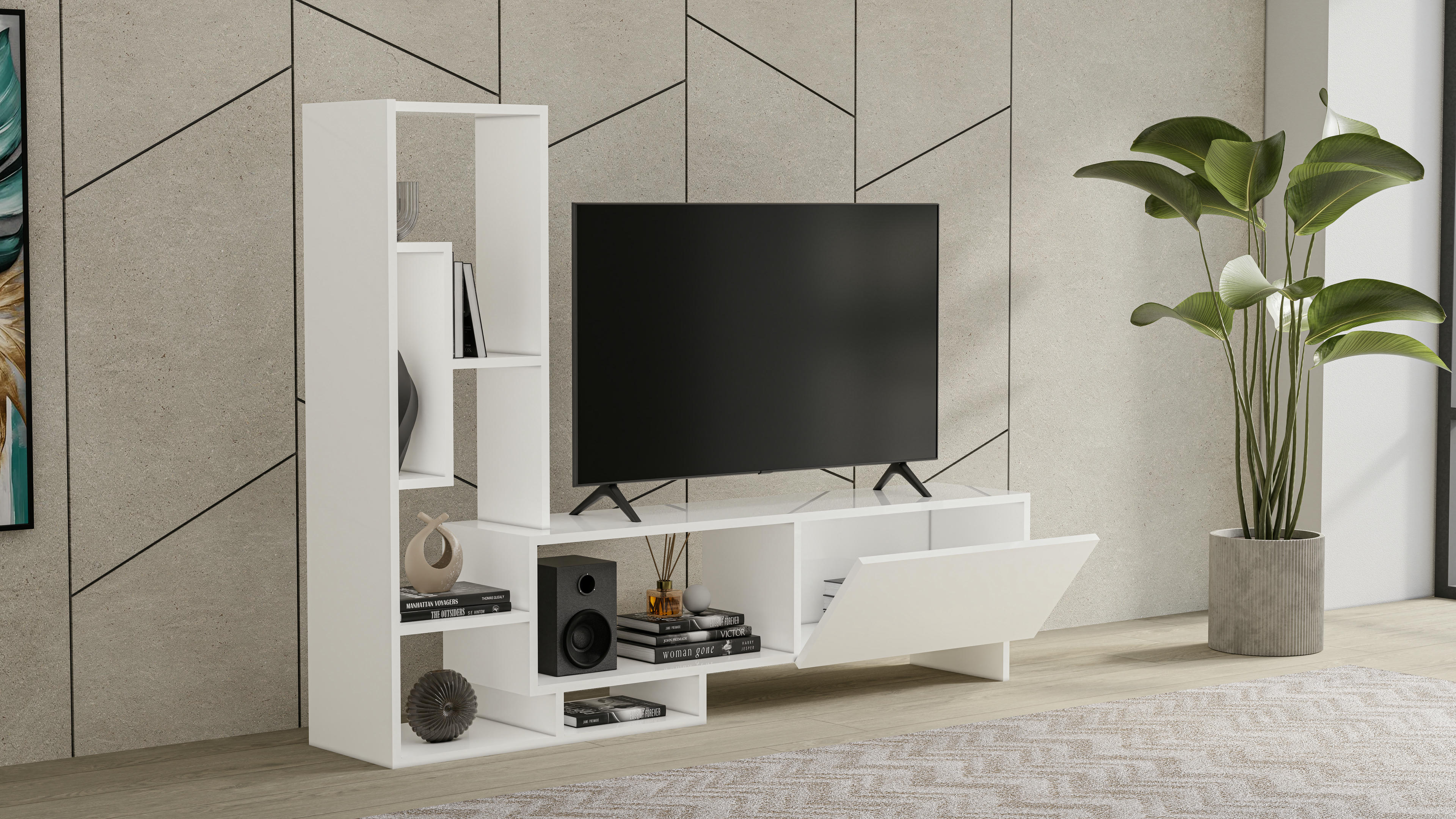 Pegai TV Unit 3