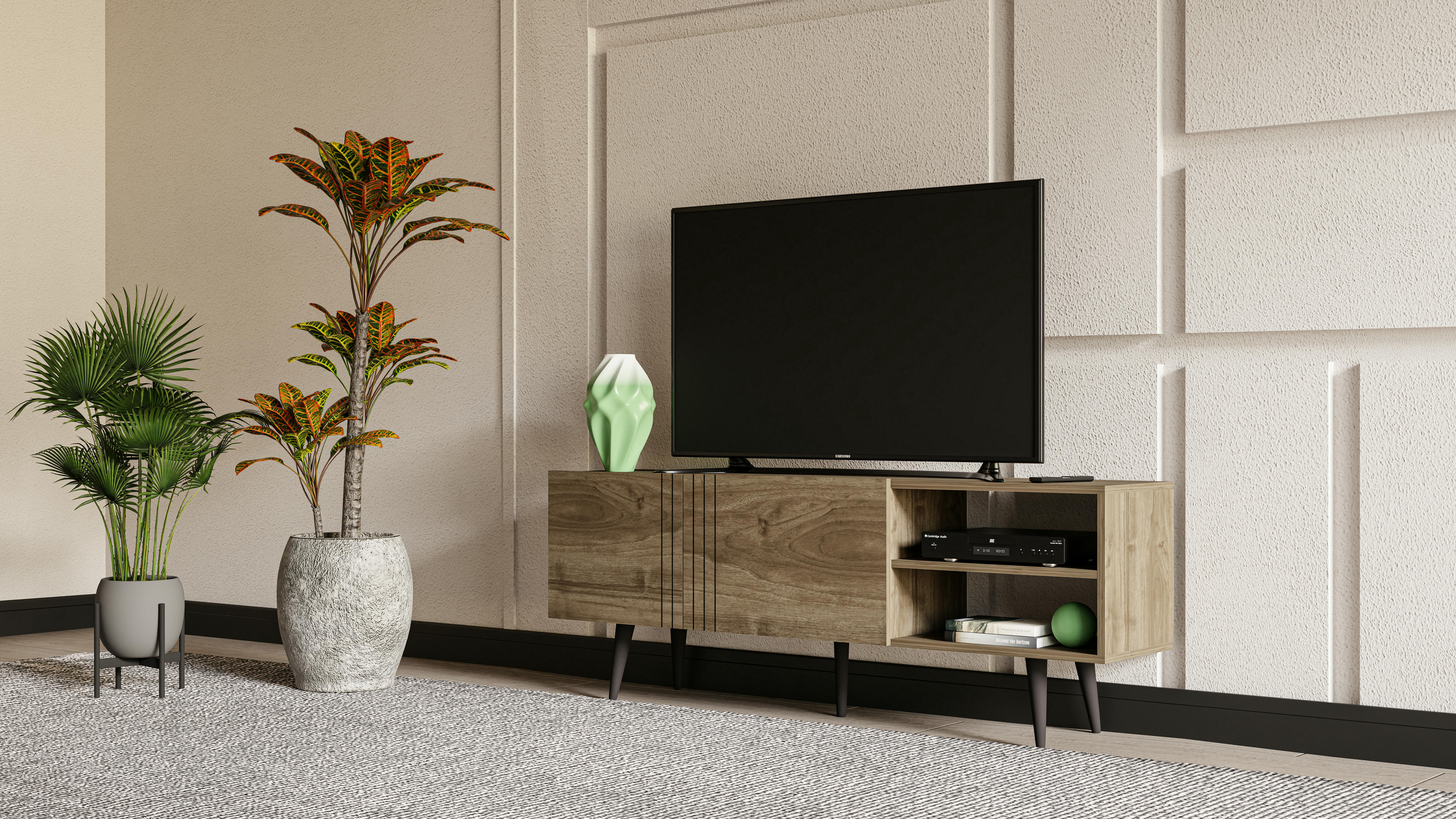 Ronas TV Unit 8