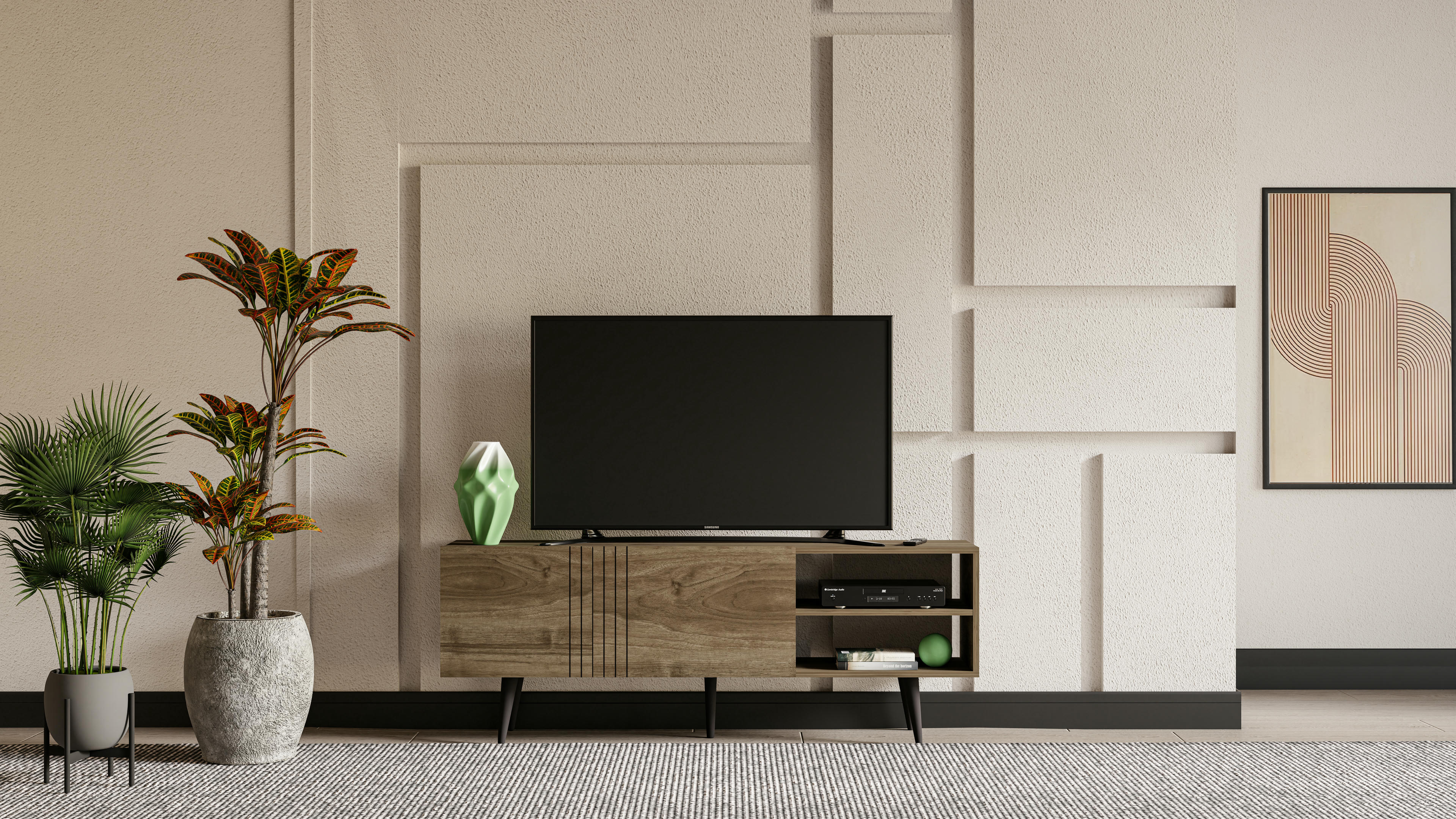 Ronas TV Unit 6