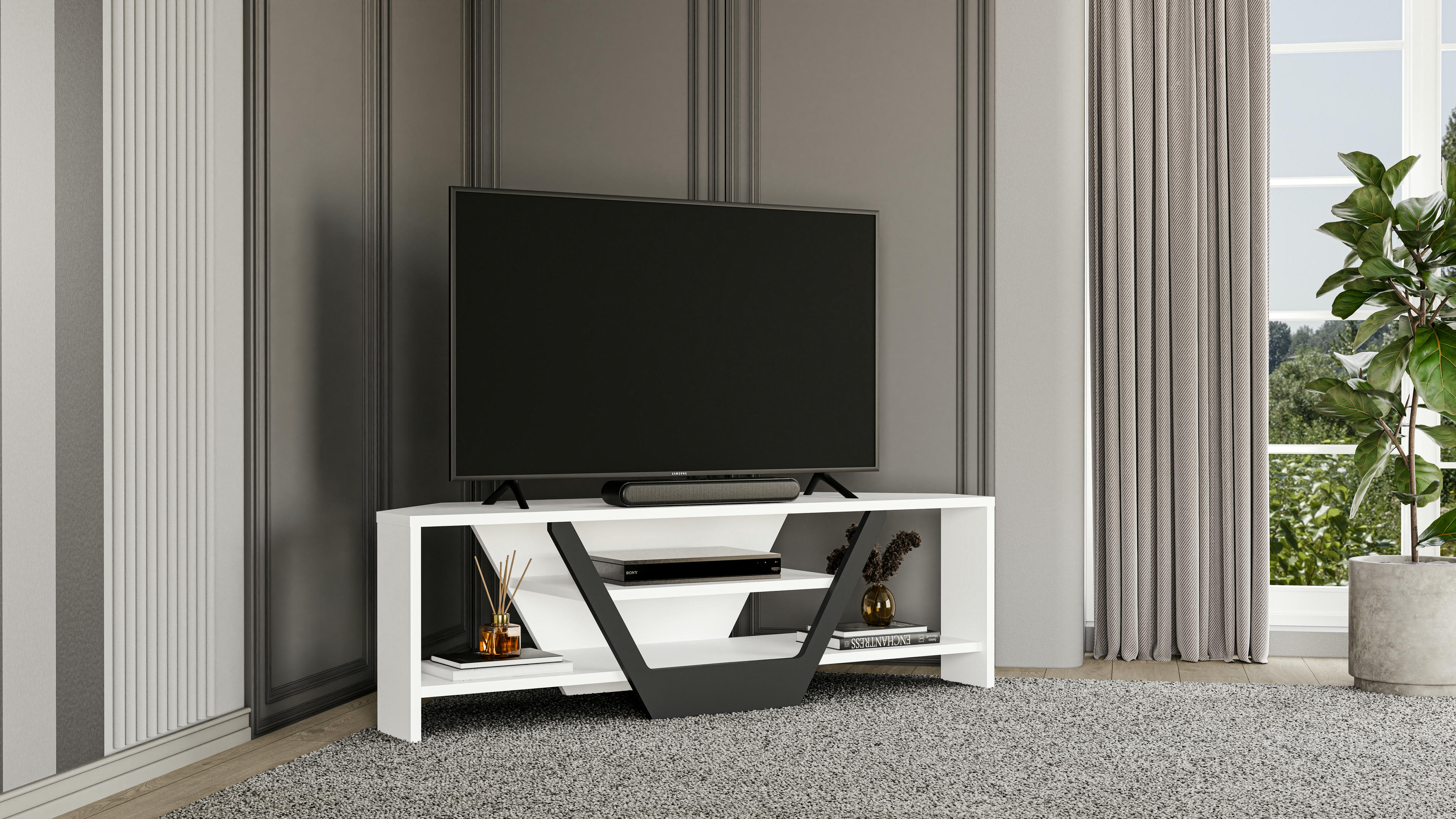 Sares TV Unit 3