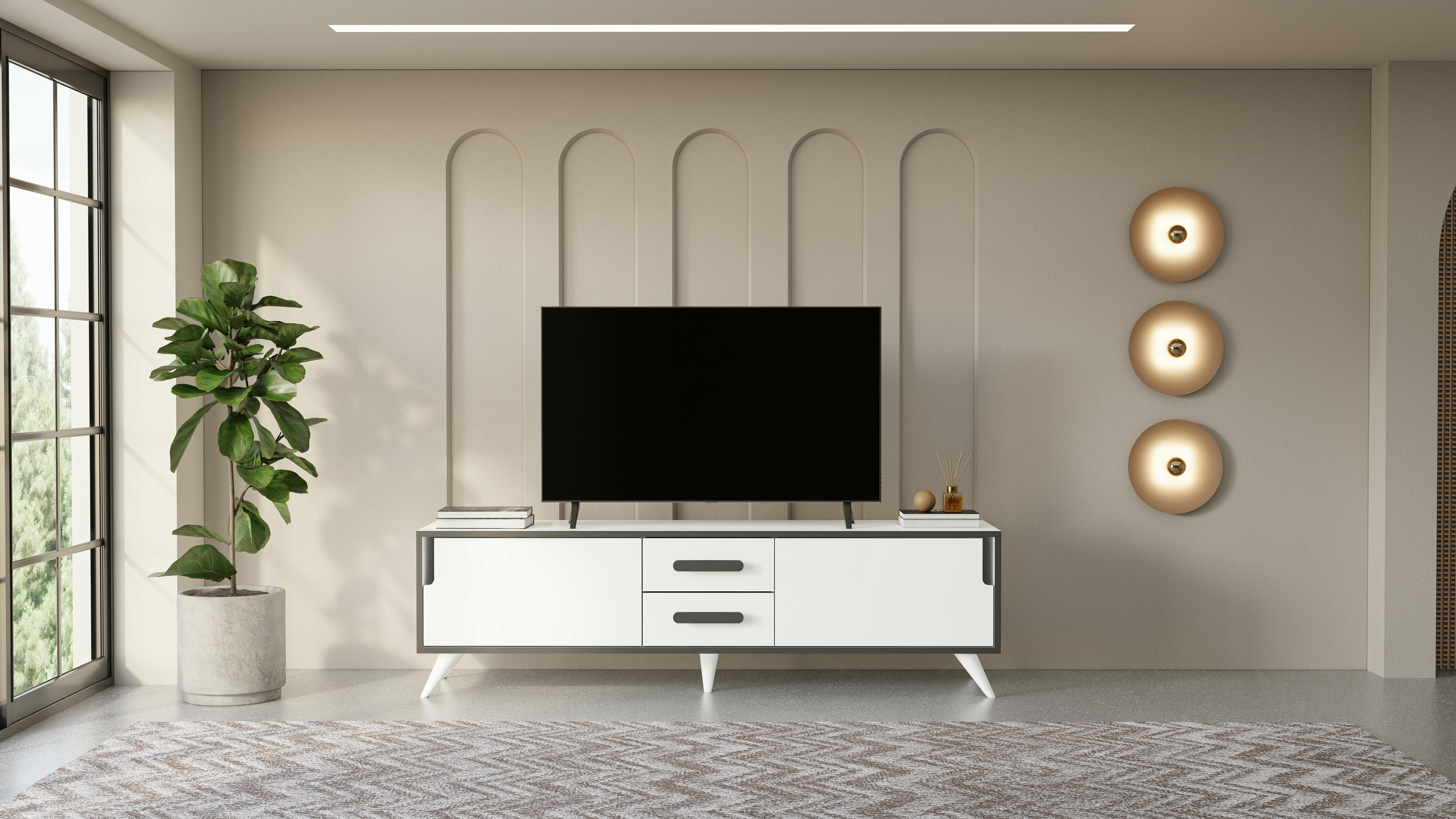 Tex TV Unit