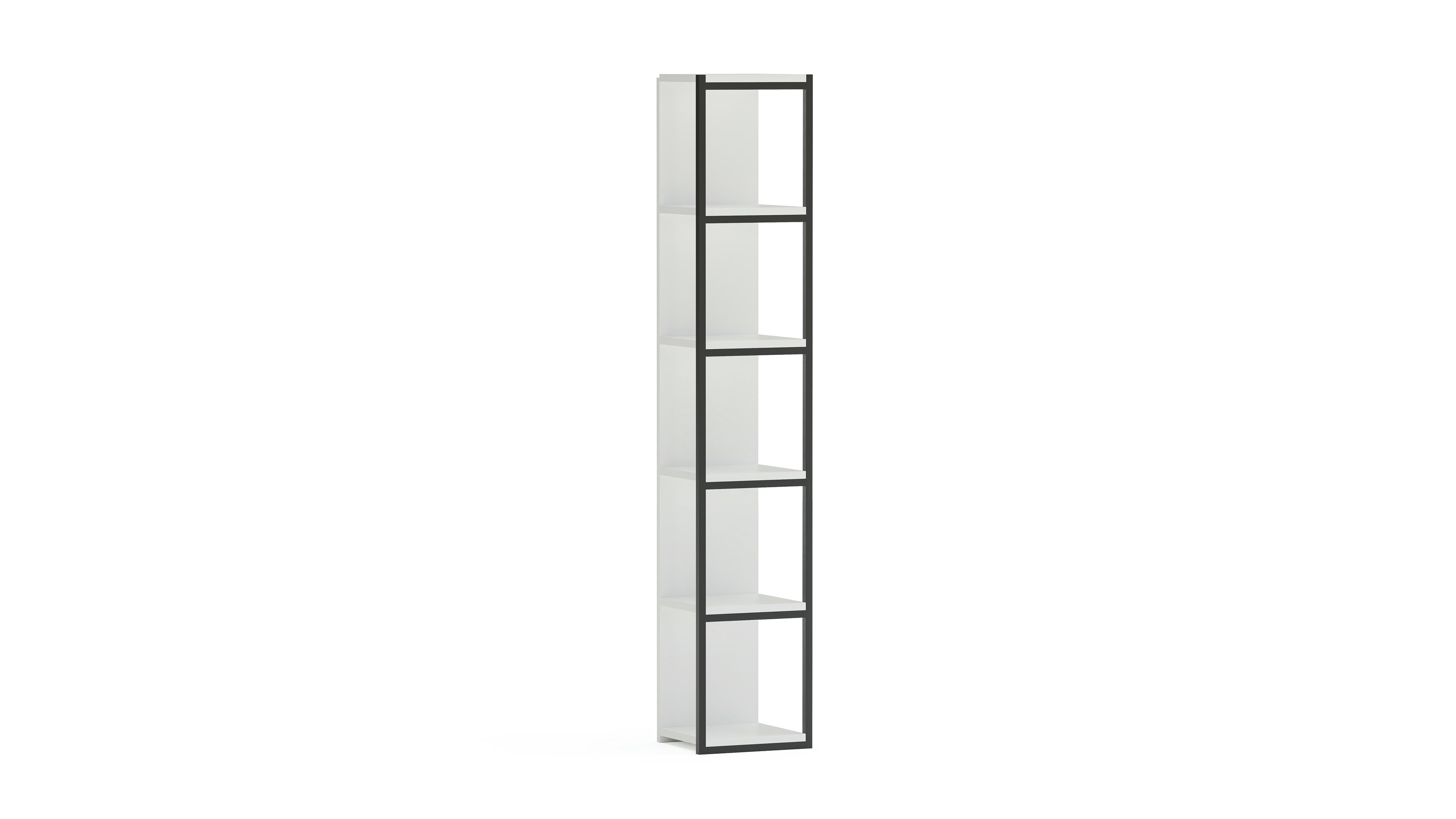 Texas Corner Bookshelf 12