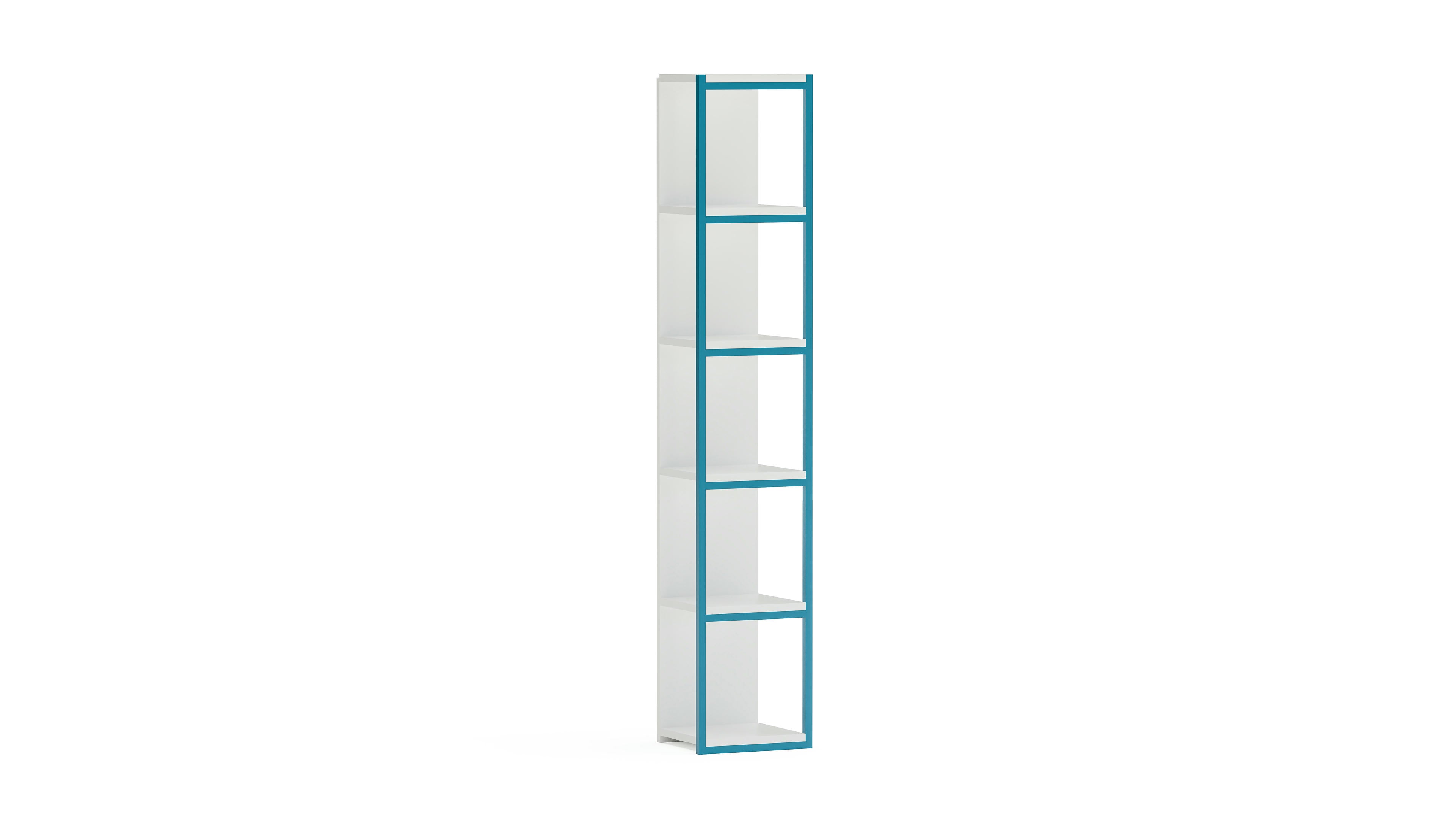 Texas Corner Bookshelf 20